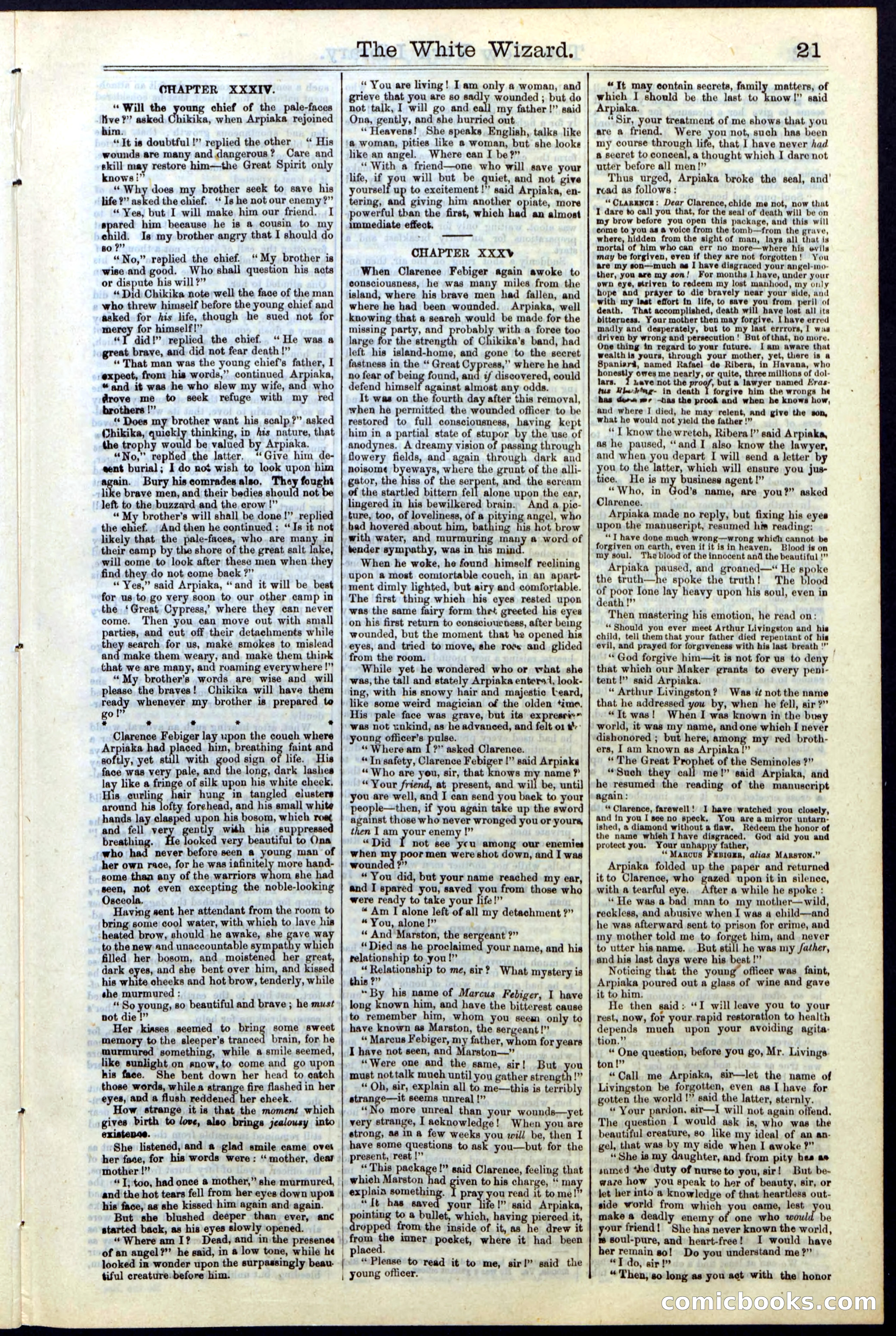 Beadle's Dime Library No. 16 — page 21 of 32