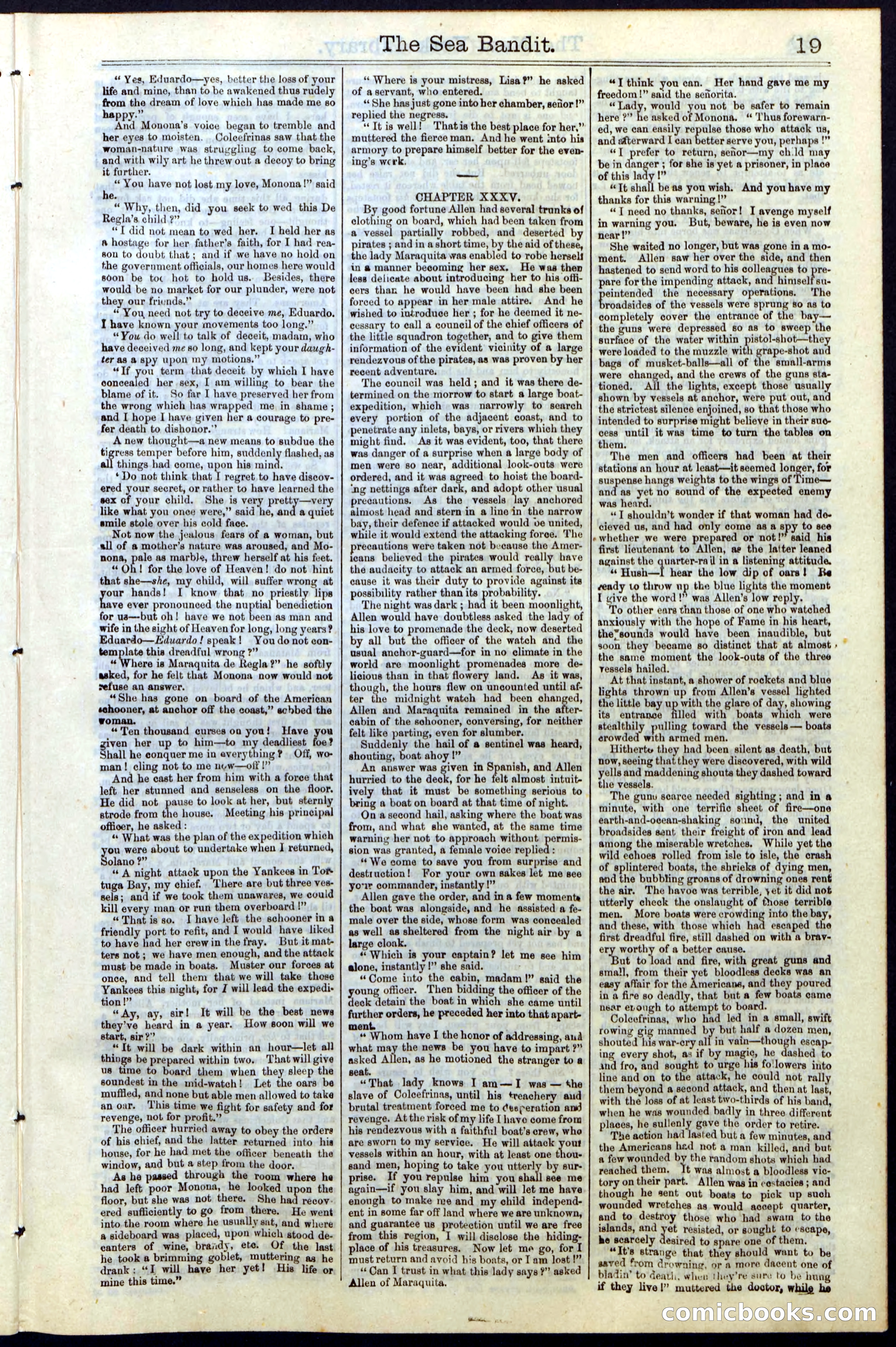 Beadle's Dime Library No. 18 — page 19 of 28