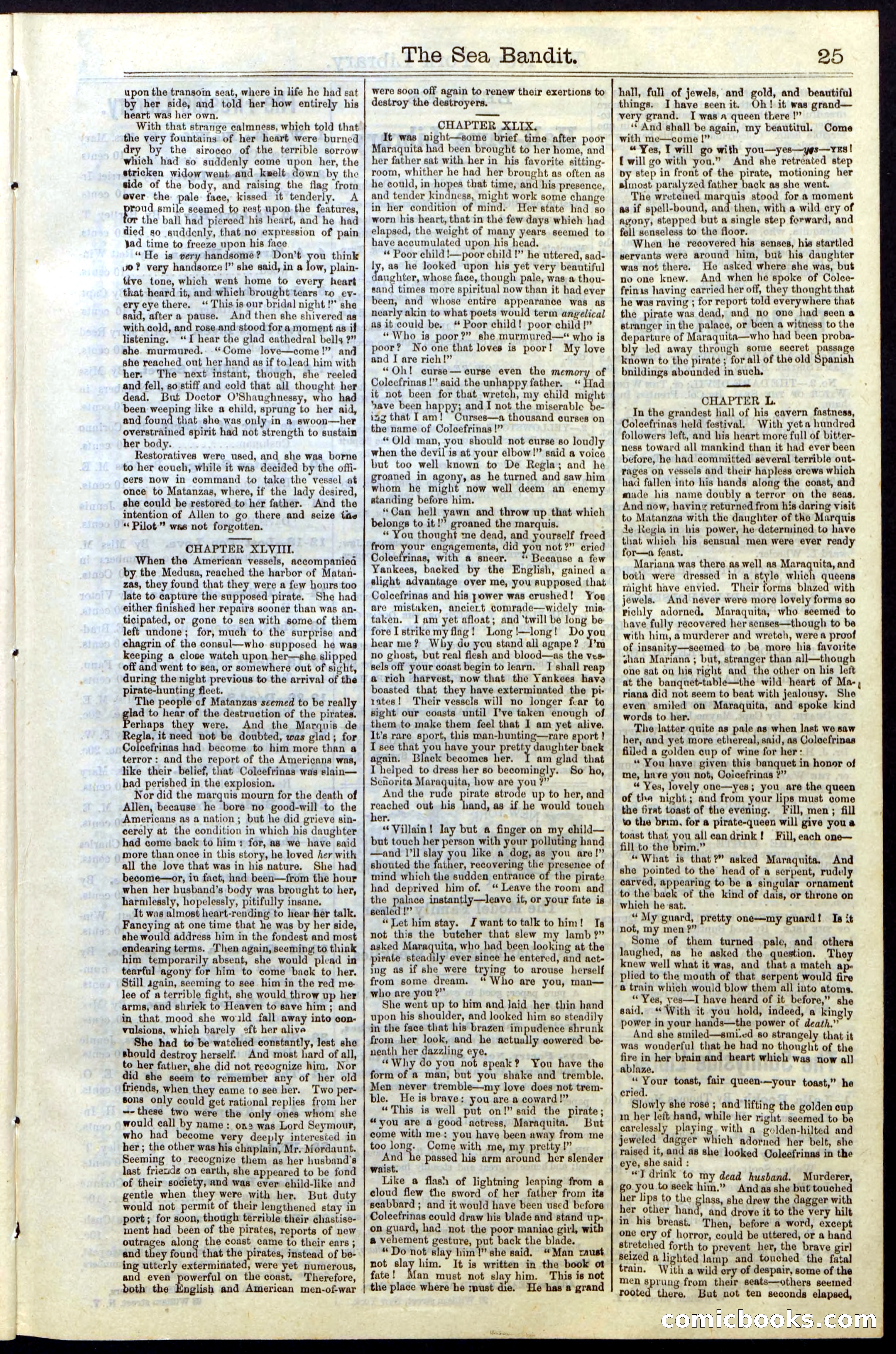 Beadle's Dime Library No. 18 — page 25 of 28