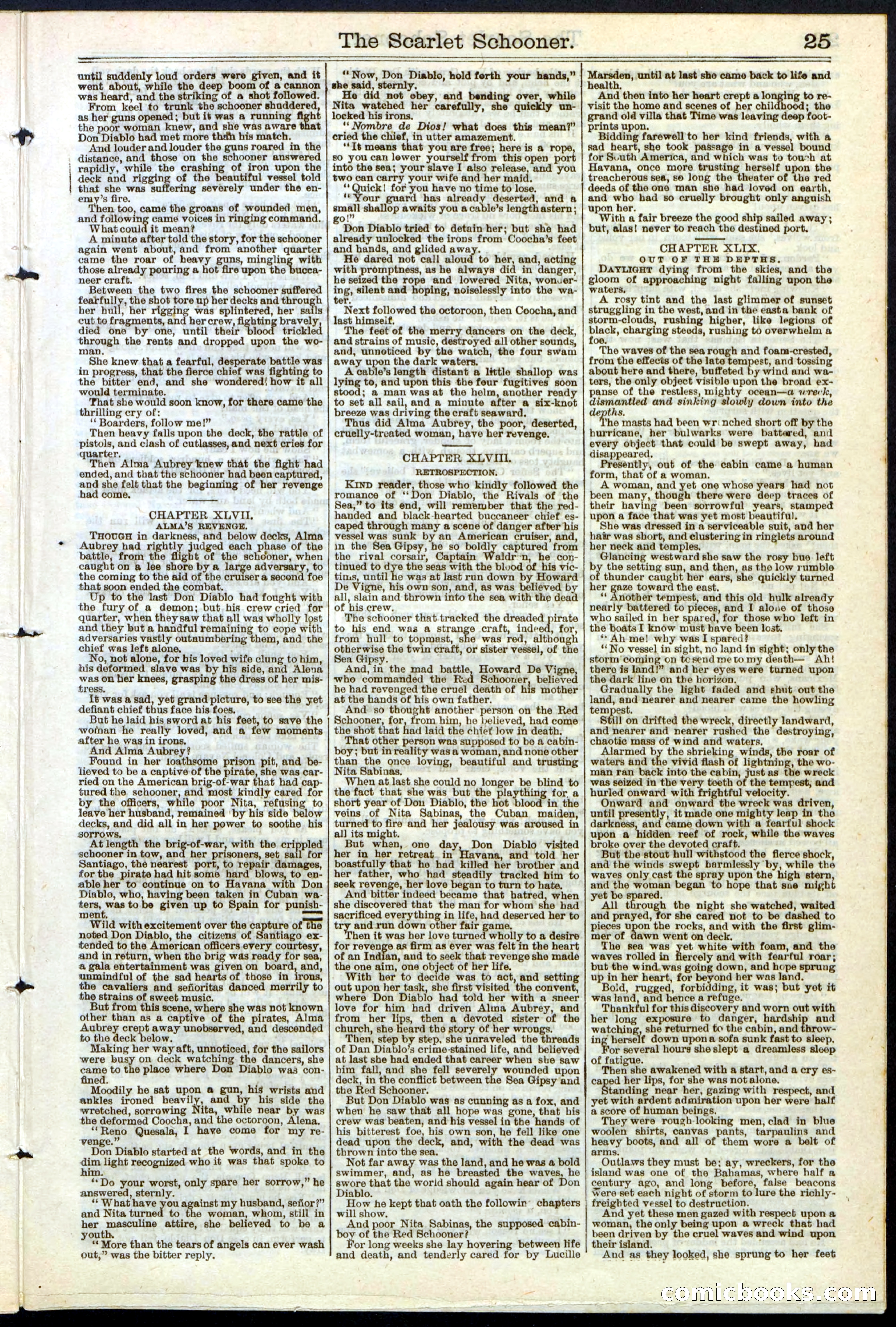 Beadle's New York Dime Library, No. 181 — page 25 of 32