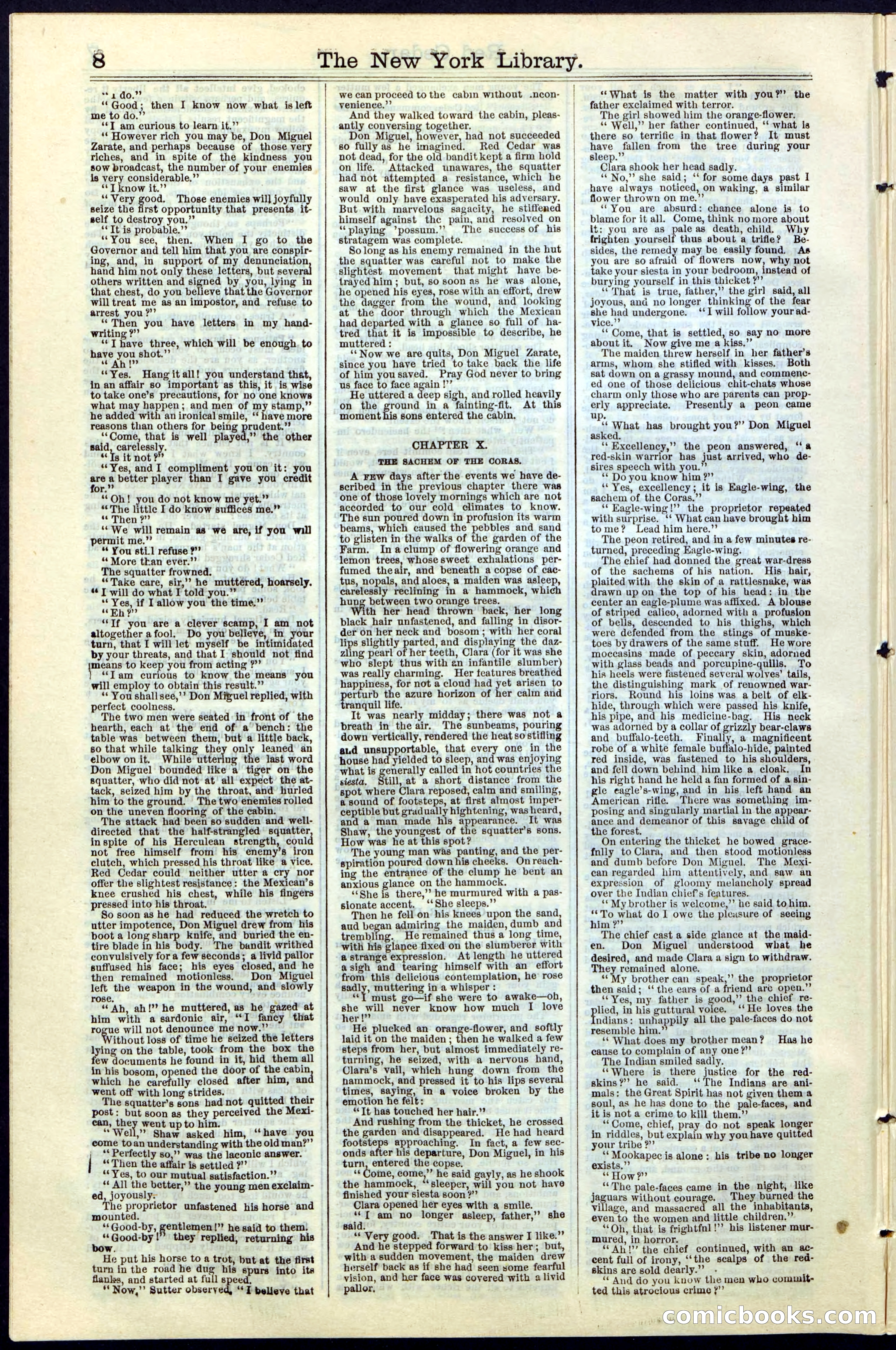 Beadle's New York Dime Library No. 19 — page 8 of 40