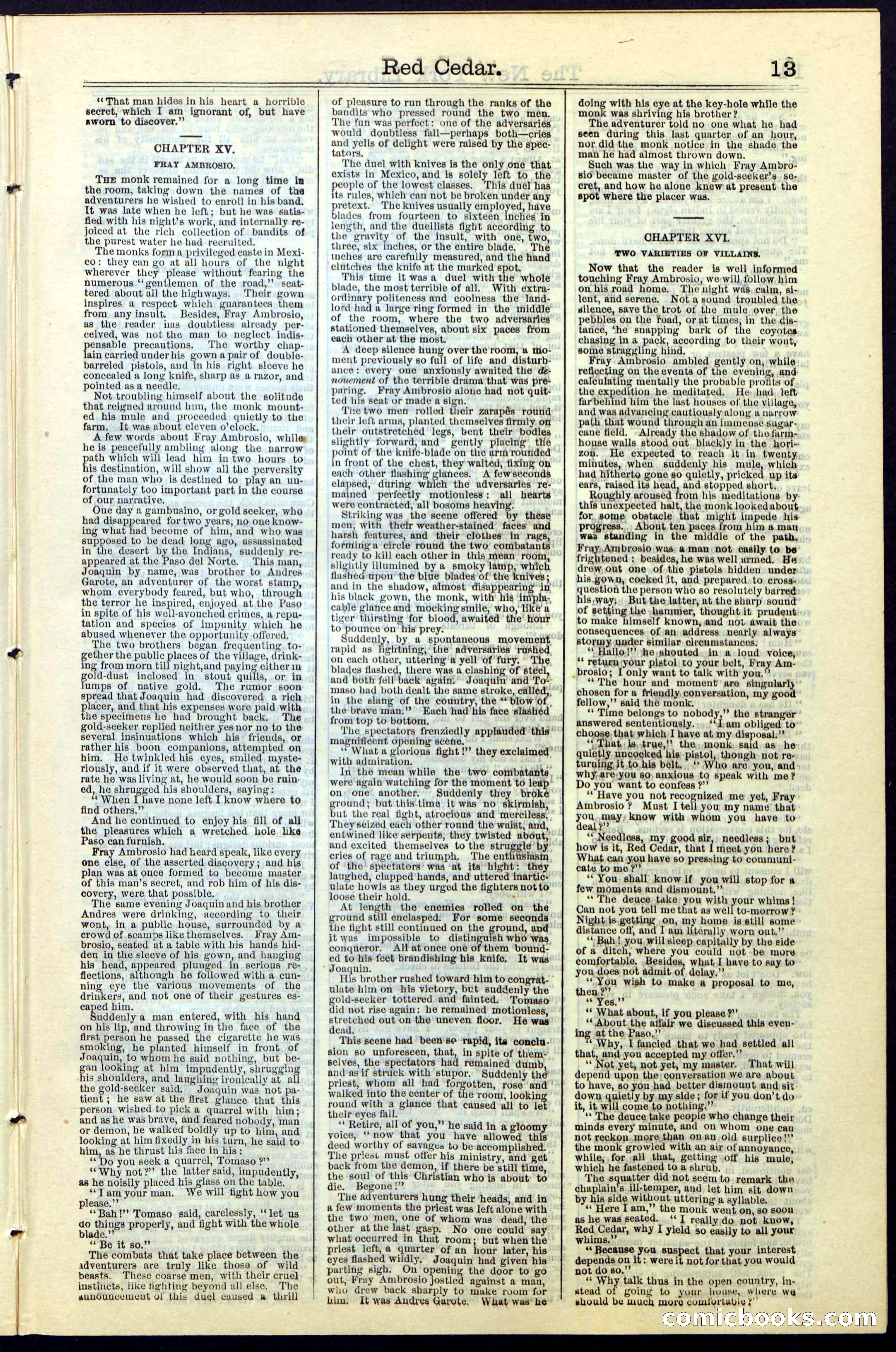 Beadle's New York Dime Library No. 19 — page 13 of 40