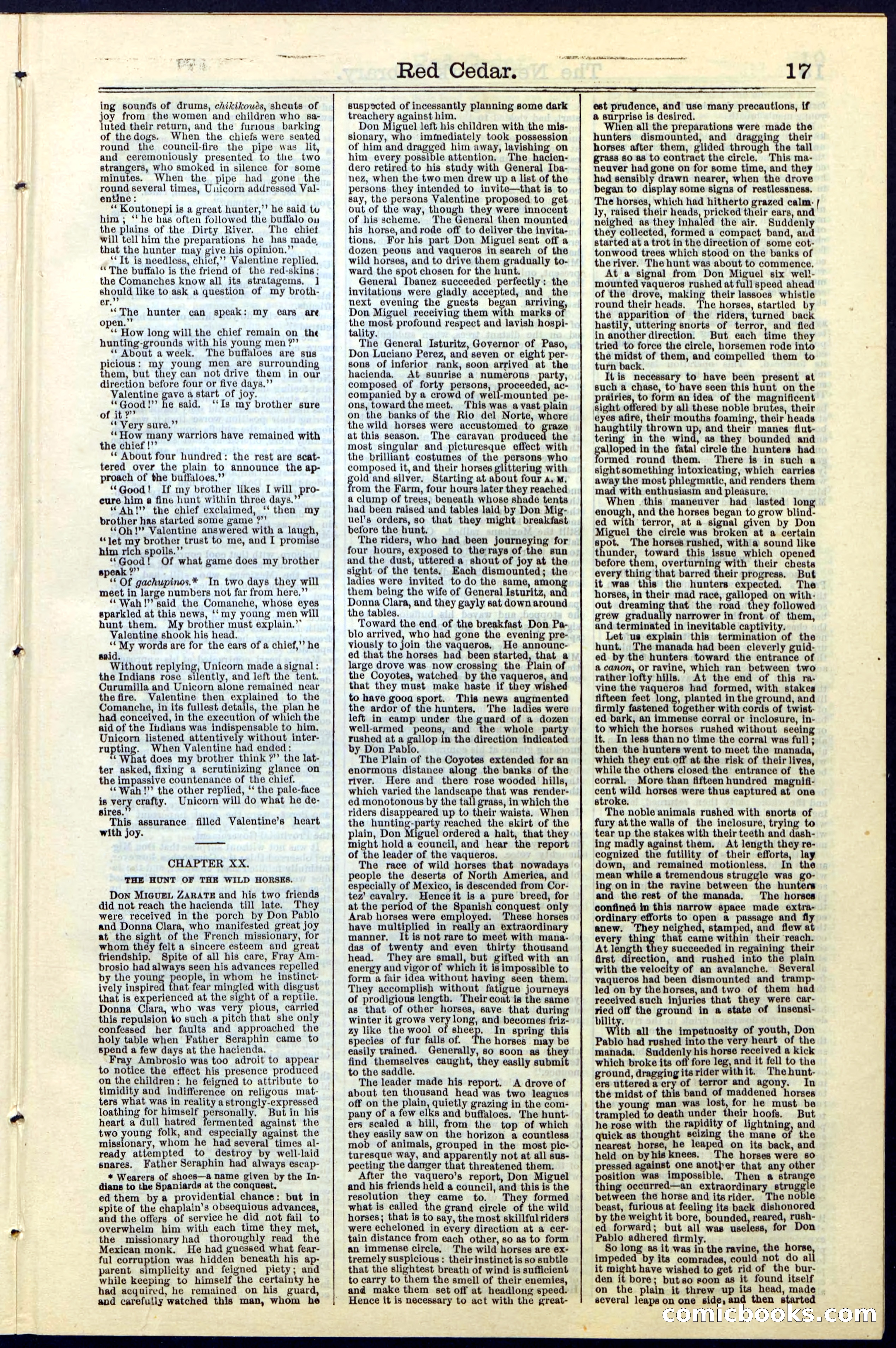 Beadle's New York Dime Library No. 19 — page 17 of 40