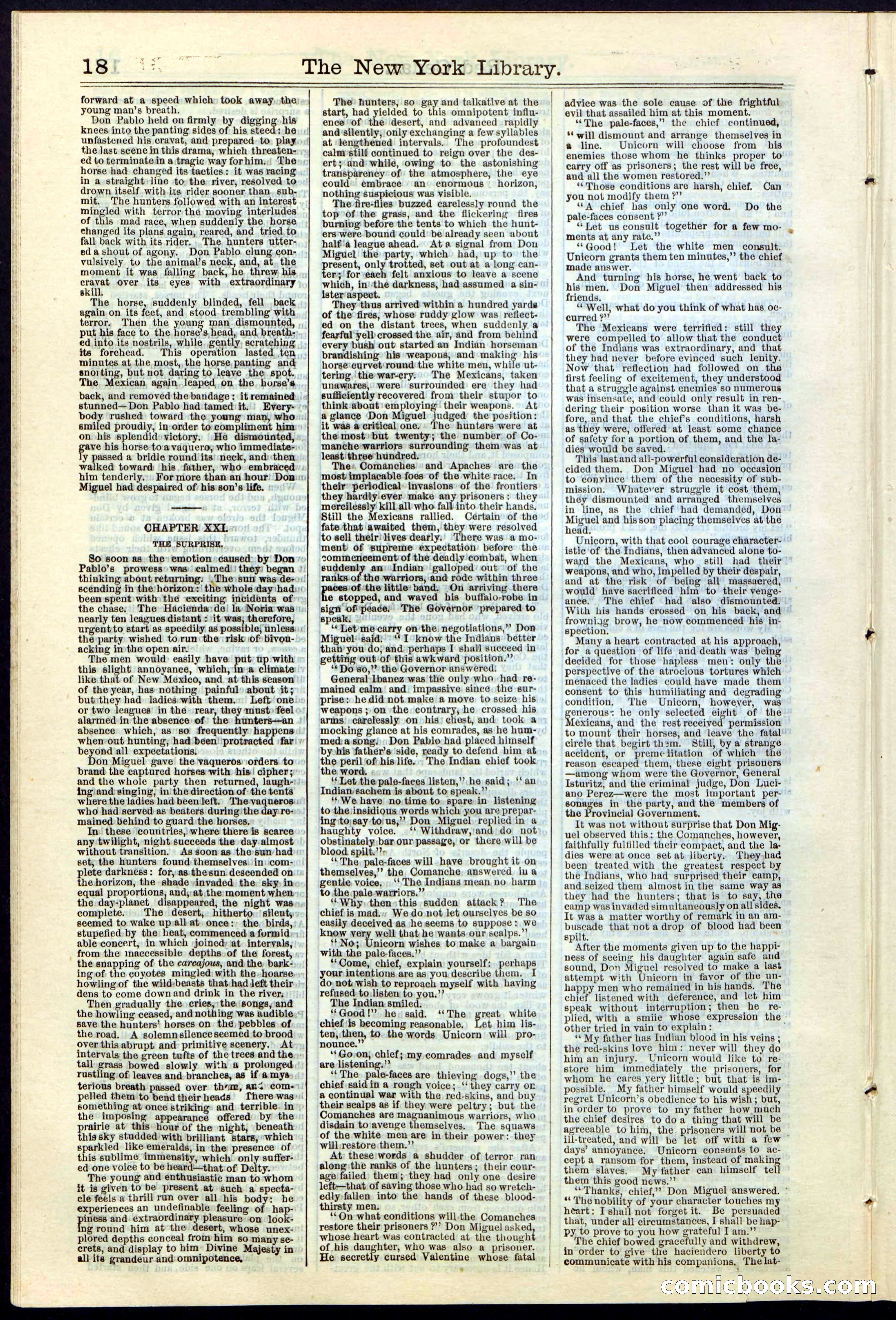 Beadle's New York Dime Library No. 19 — page 18 of 40