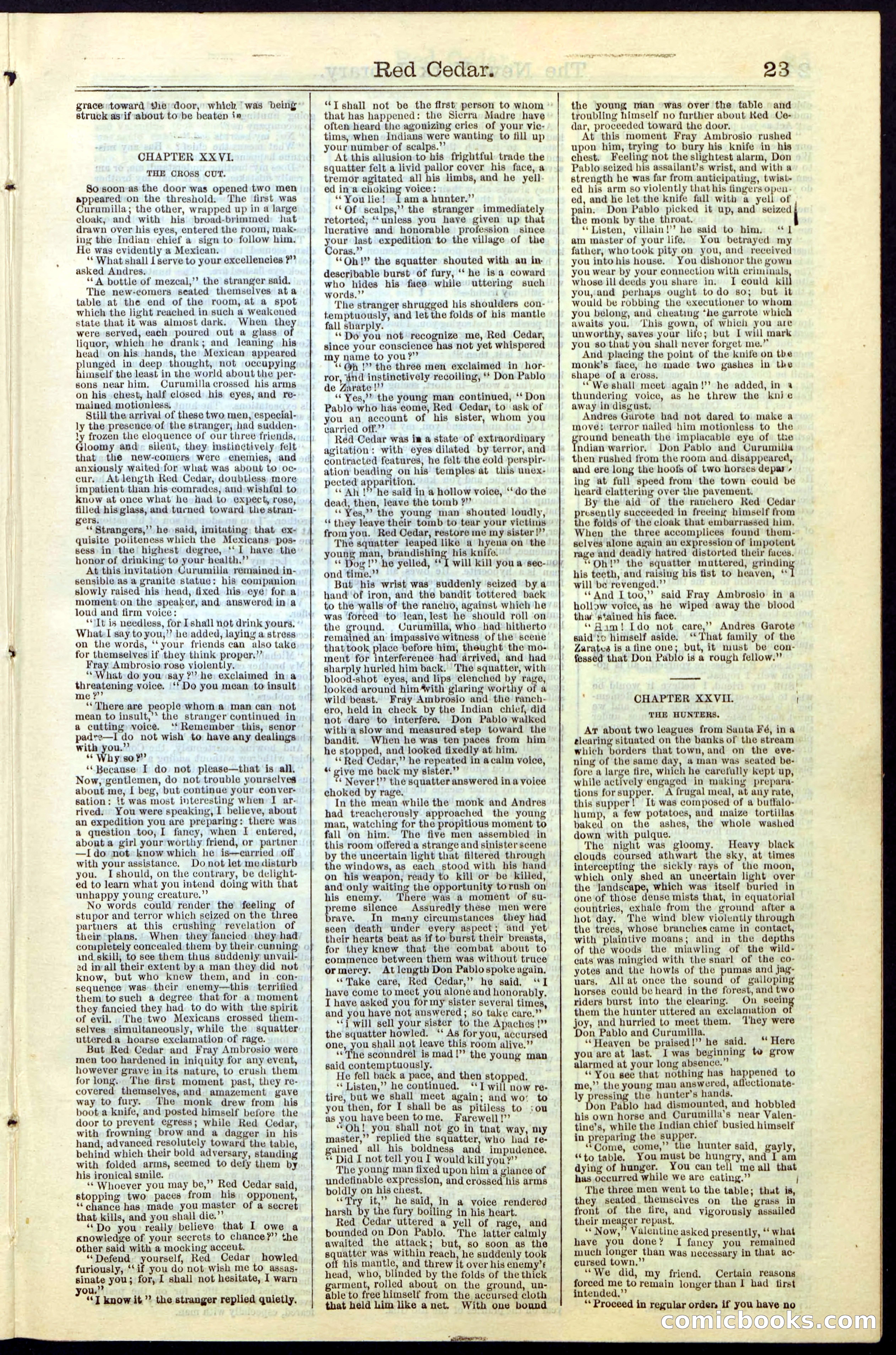Beadle's New York Dime Library No. 19 — page 23 of 40