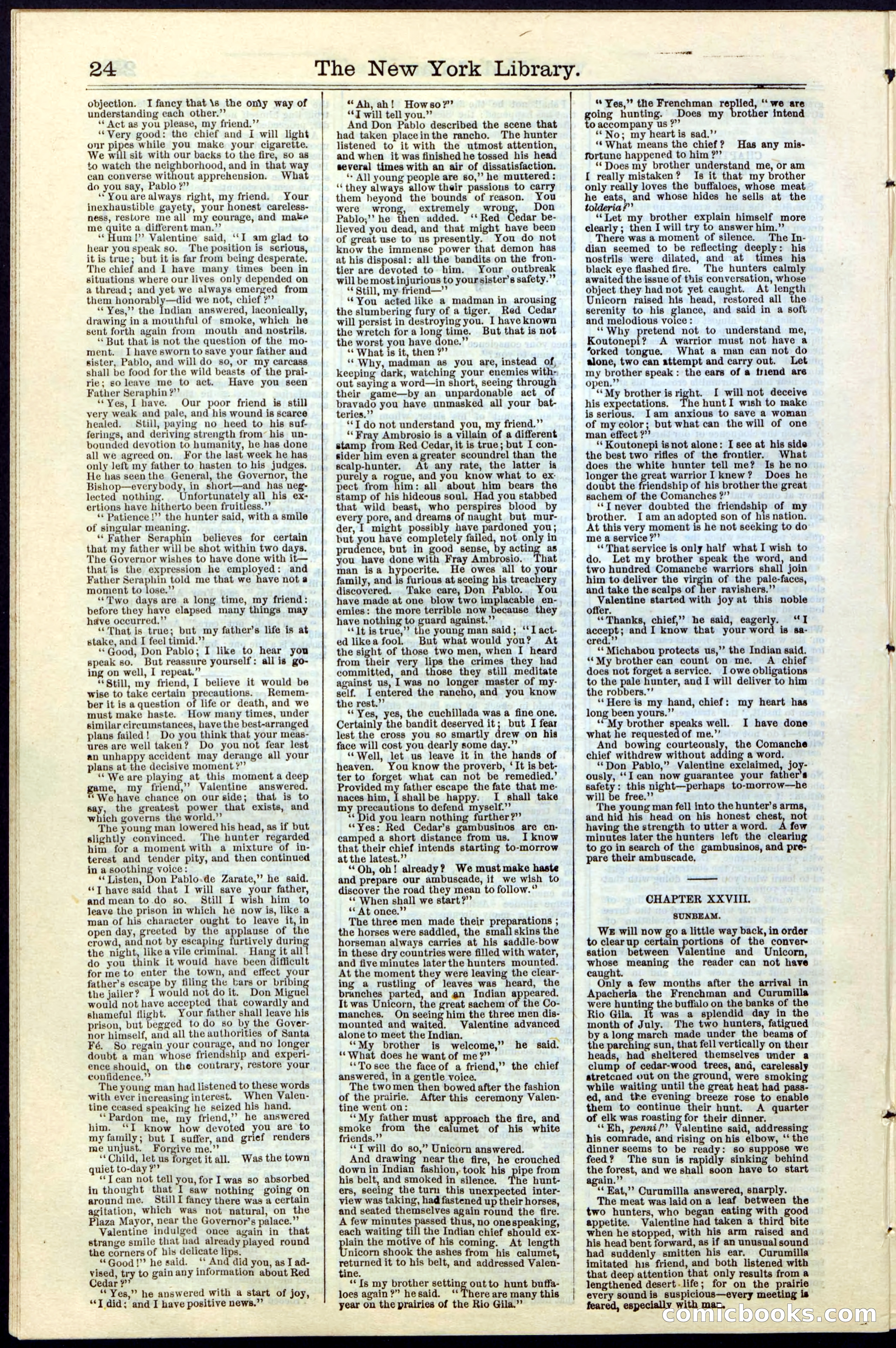 Beadle's New York Dime Library No. 19 — page 24 of 40