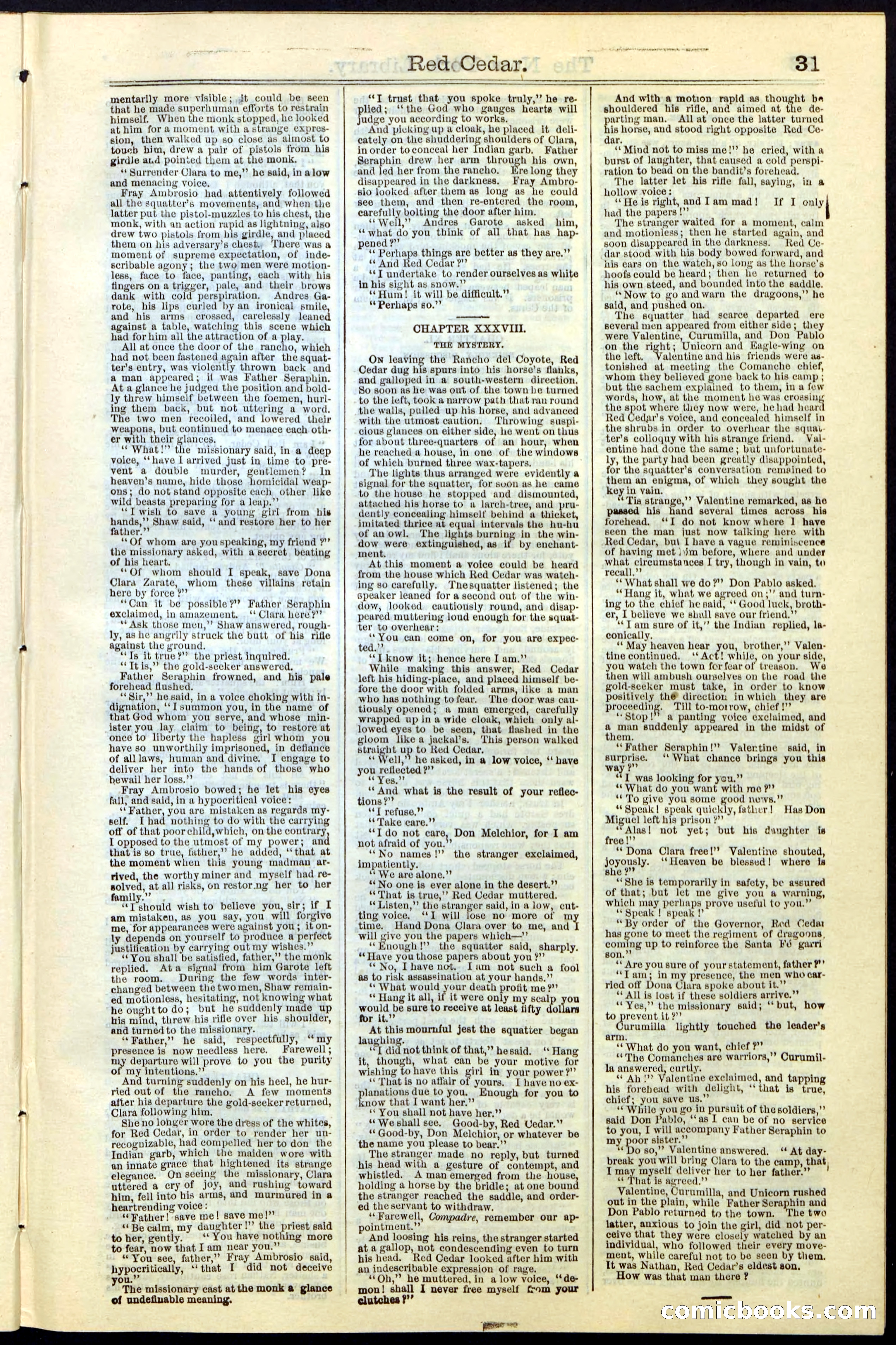 Beadle's New York Dime Library No. 19 — page 31 of 40