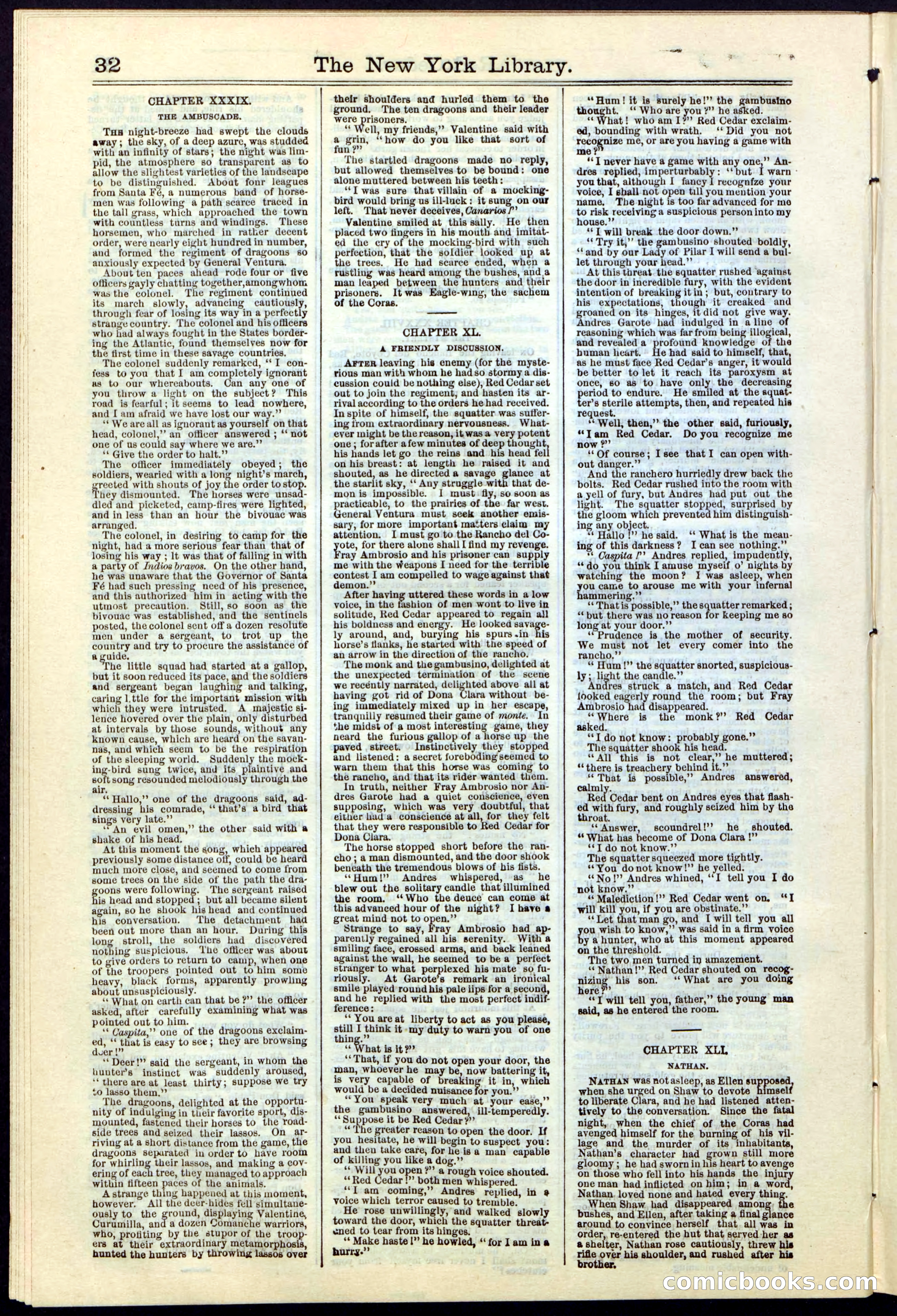 Beadle's New York Dime Library No. 19 — page 32 of 40