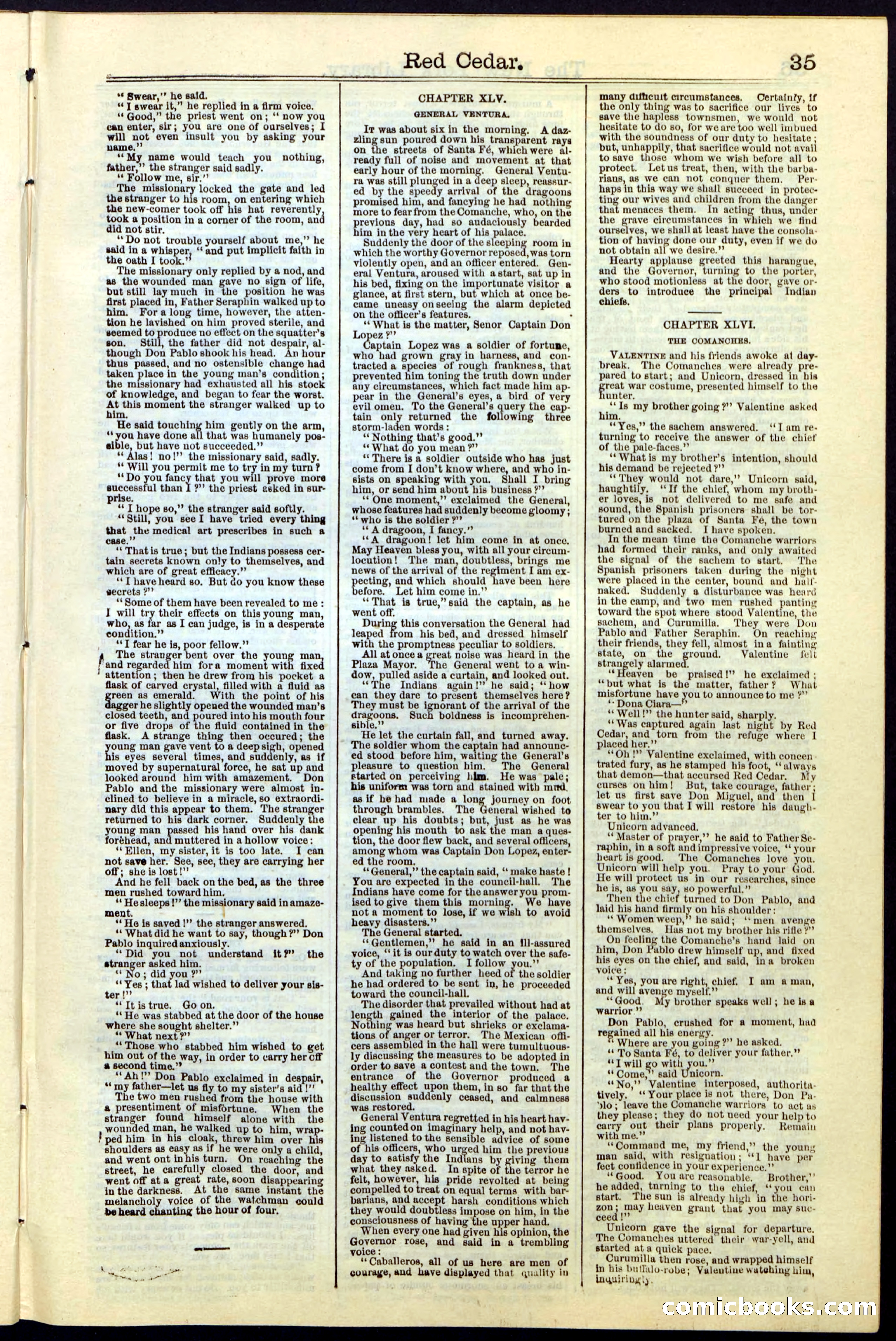 Beadle's New York Dime Library No. 19 — page 35 of 40