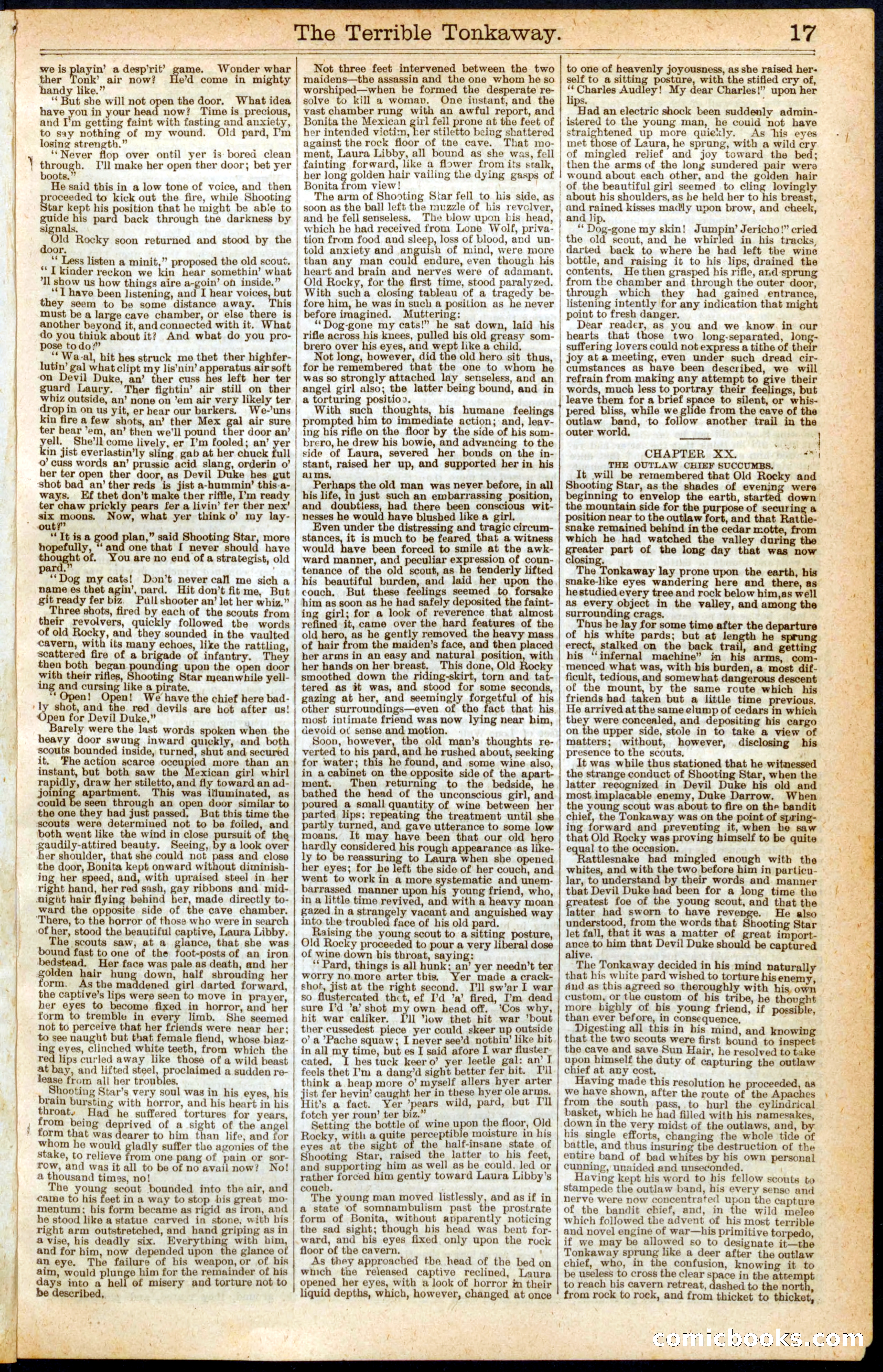 Beadle's New York Dime Library No. 191 — page 17 of 24