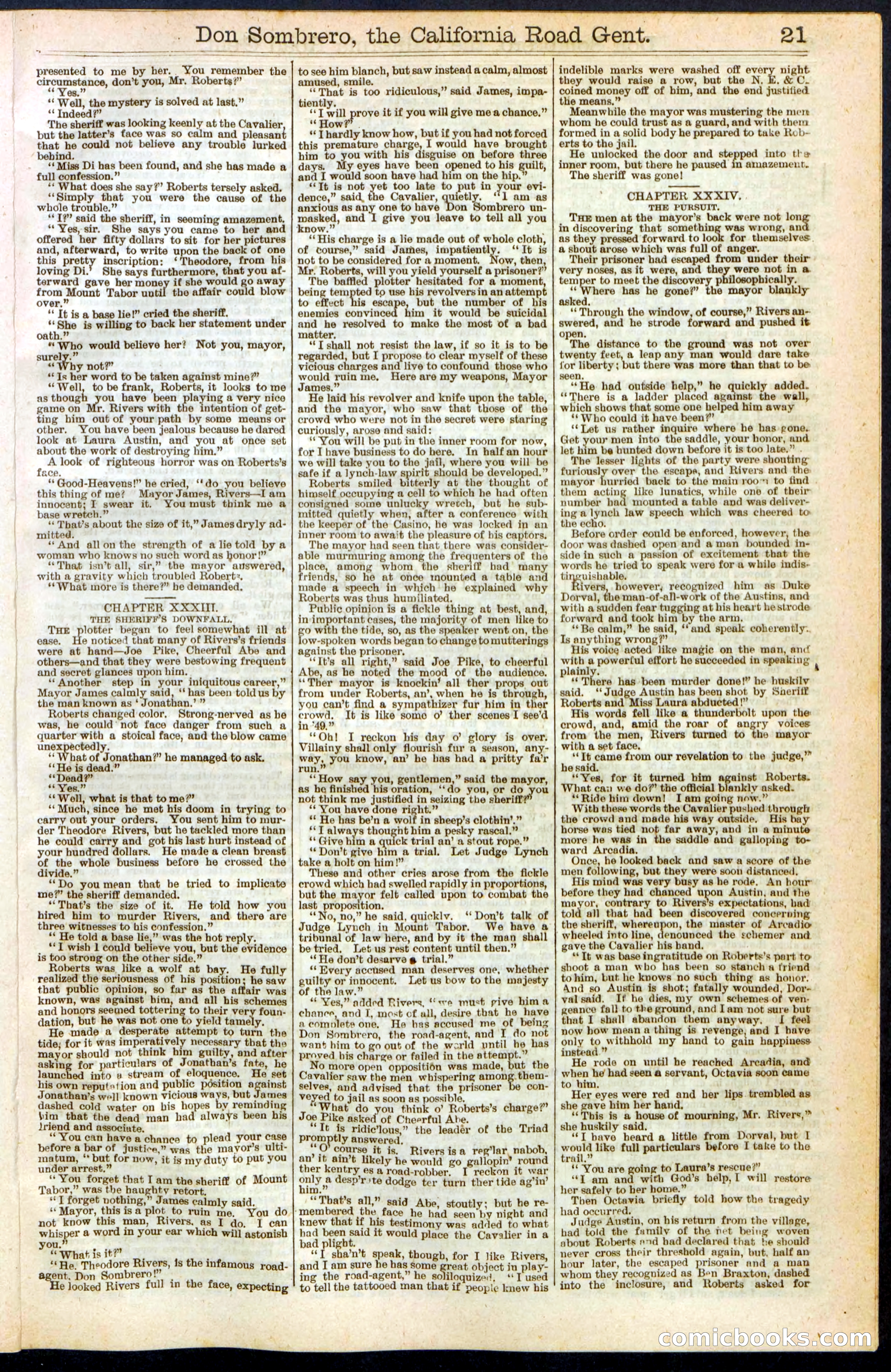 Beadle's New York Dime Library, No. 194 — page 21 of 32