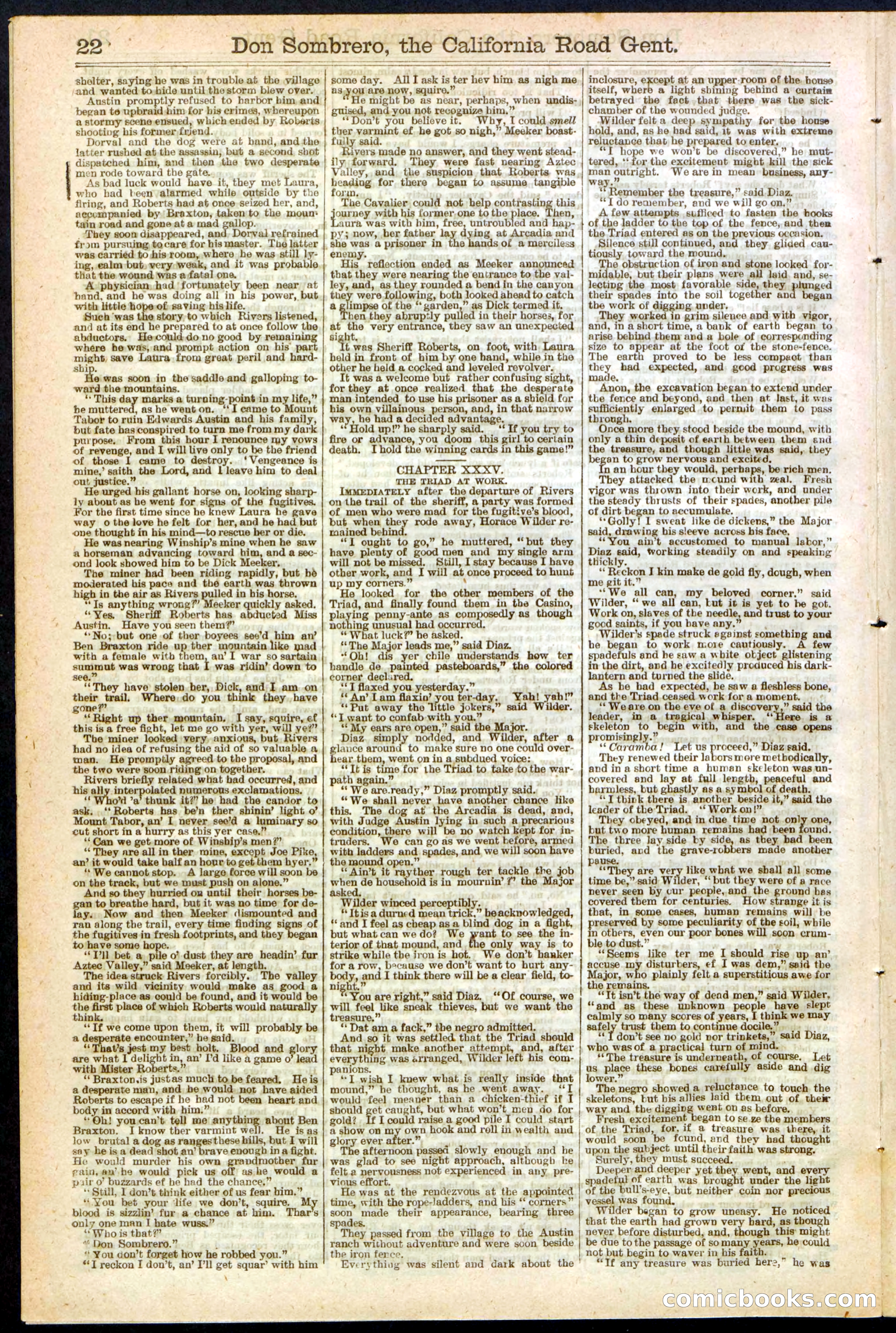 Beadle's New York Dime Library, No. 194 — page 22 of 32