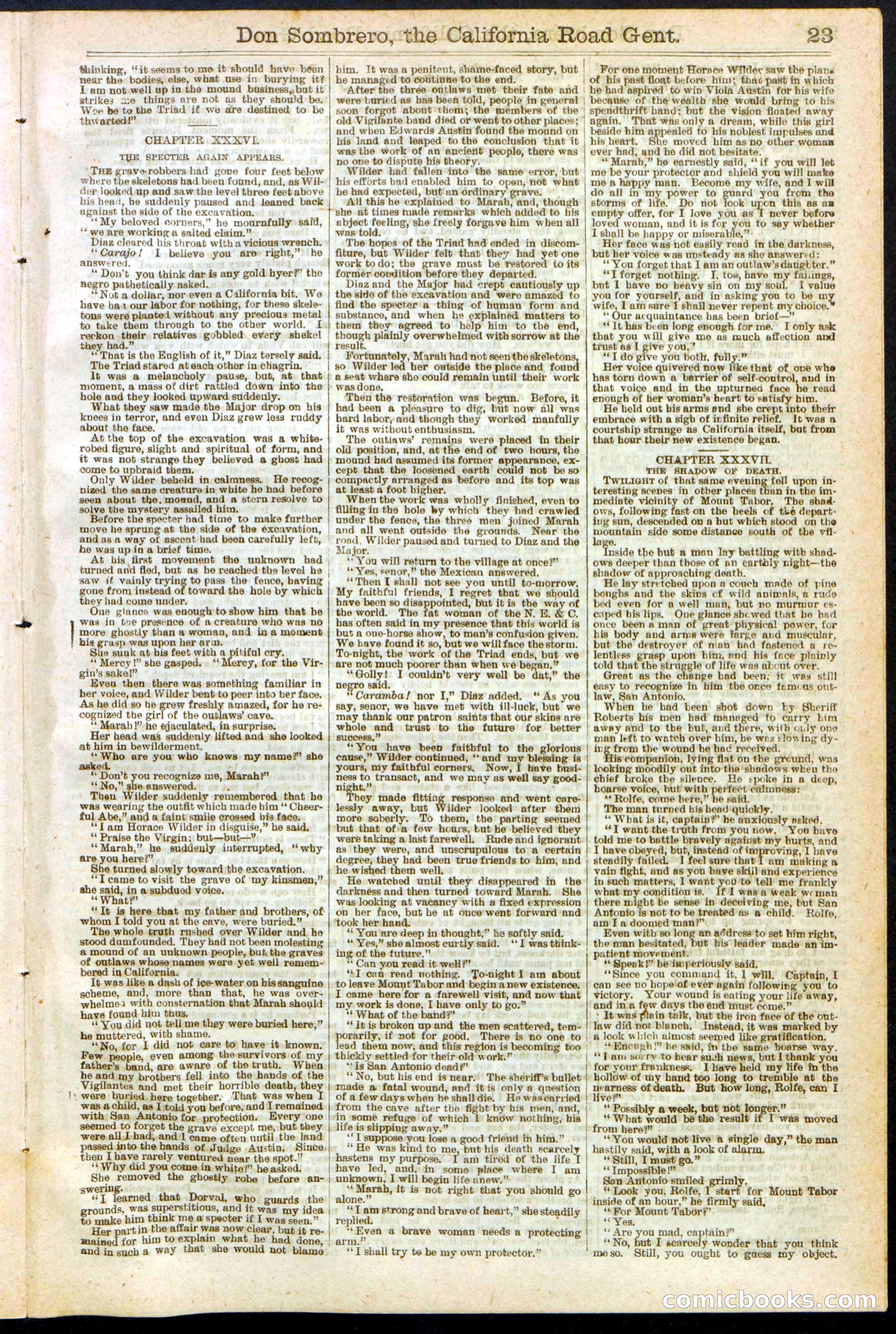Beadle's New York Dime Library, No. 194 — page 23 of 32