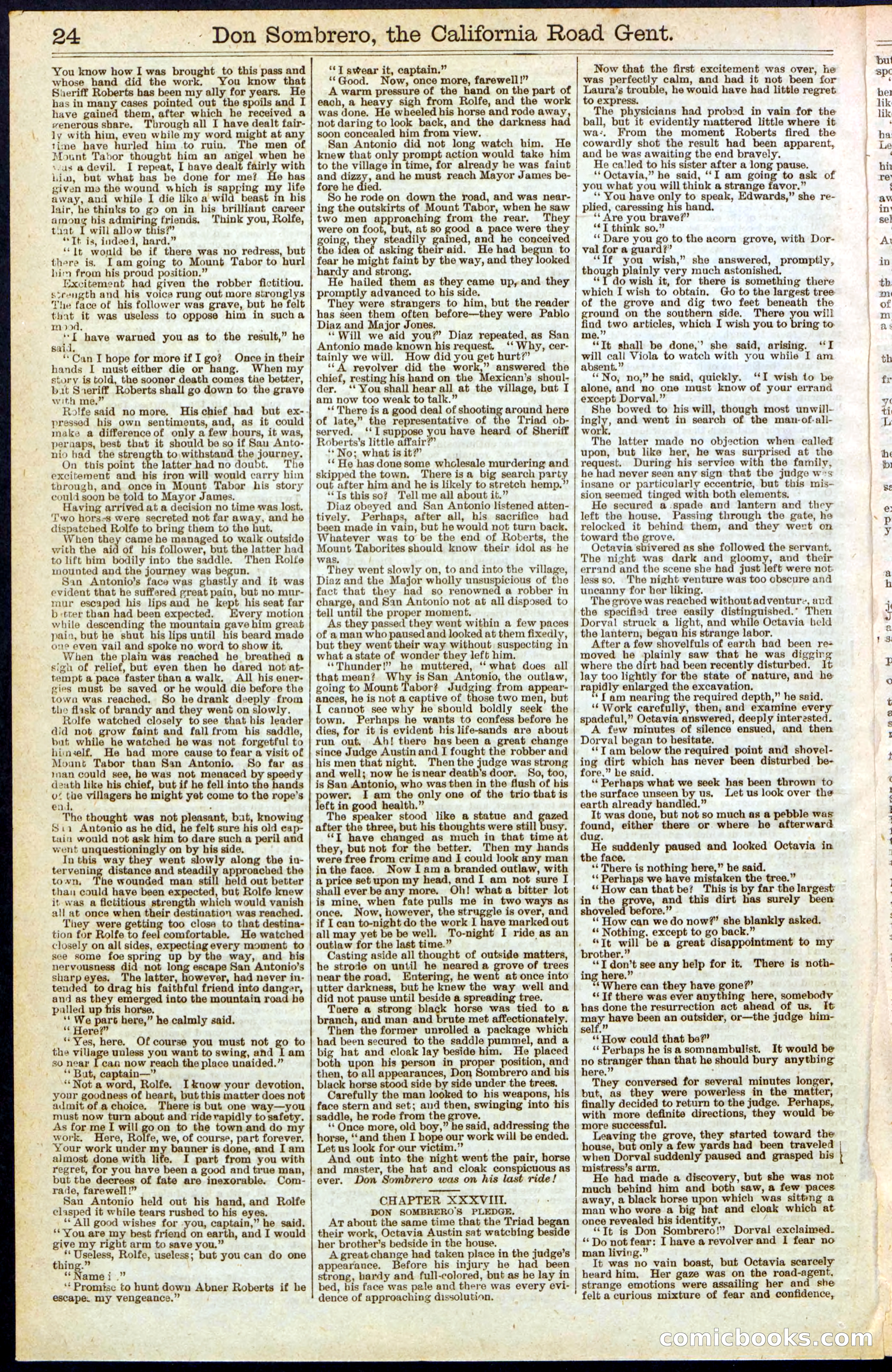 Beadle's New York Dime Library, No. 194 — page 24 of 32