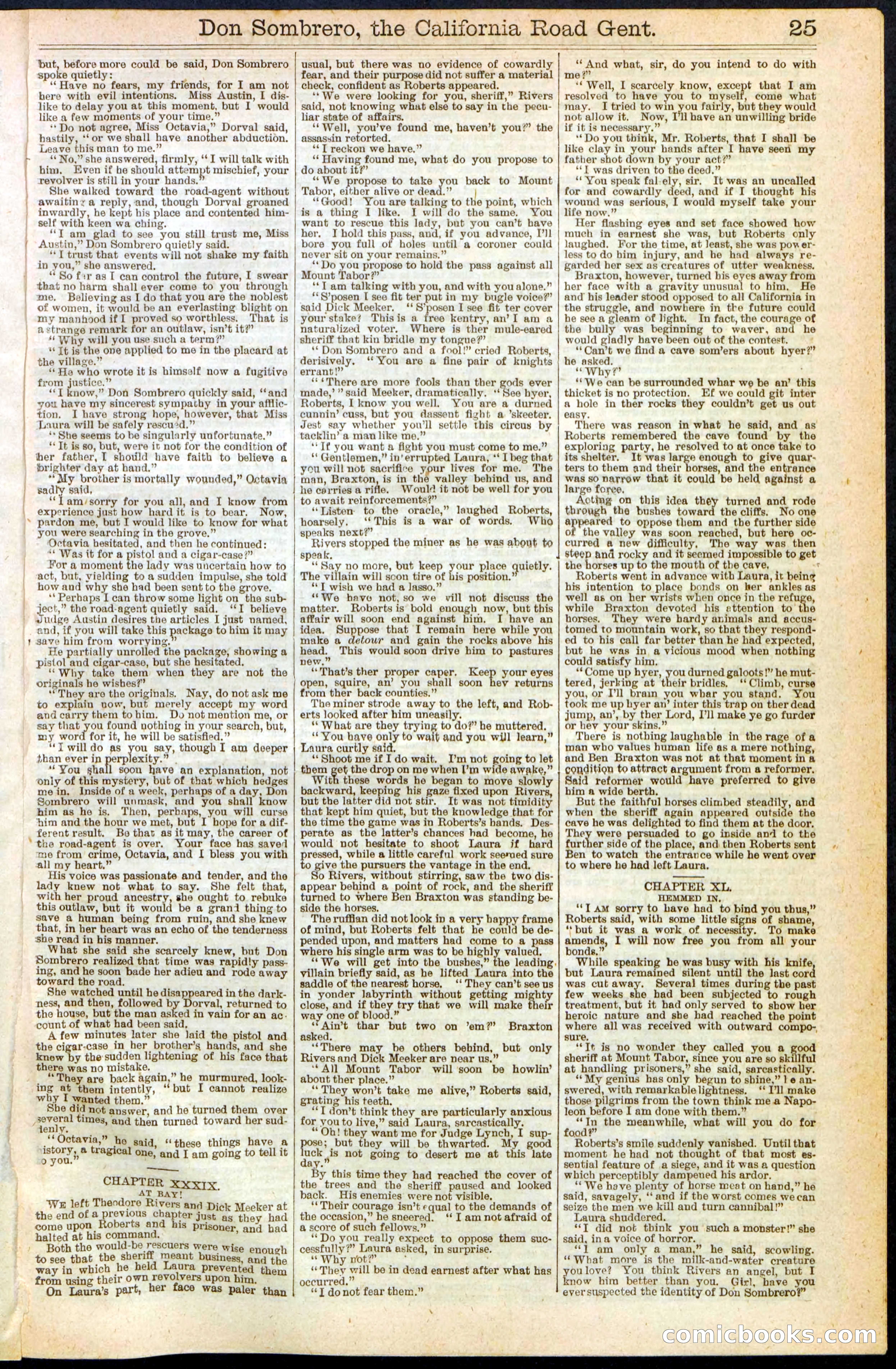 Beadle's New York Dime Library, No. 194 — page 25 of 32
