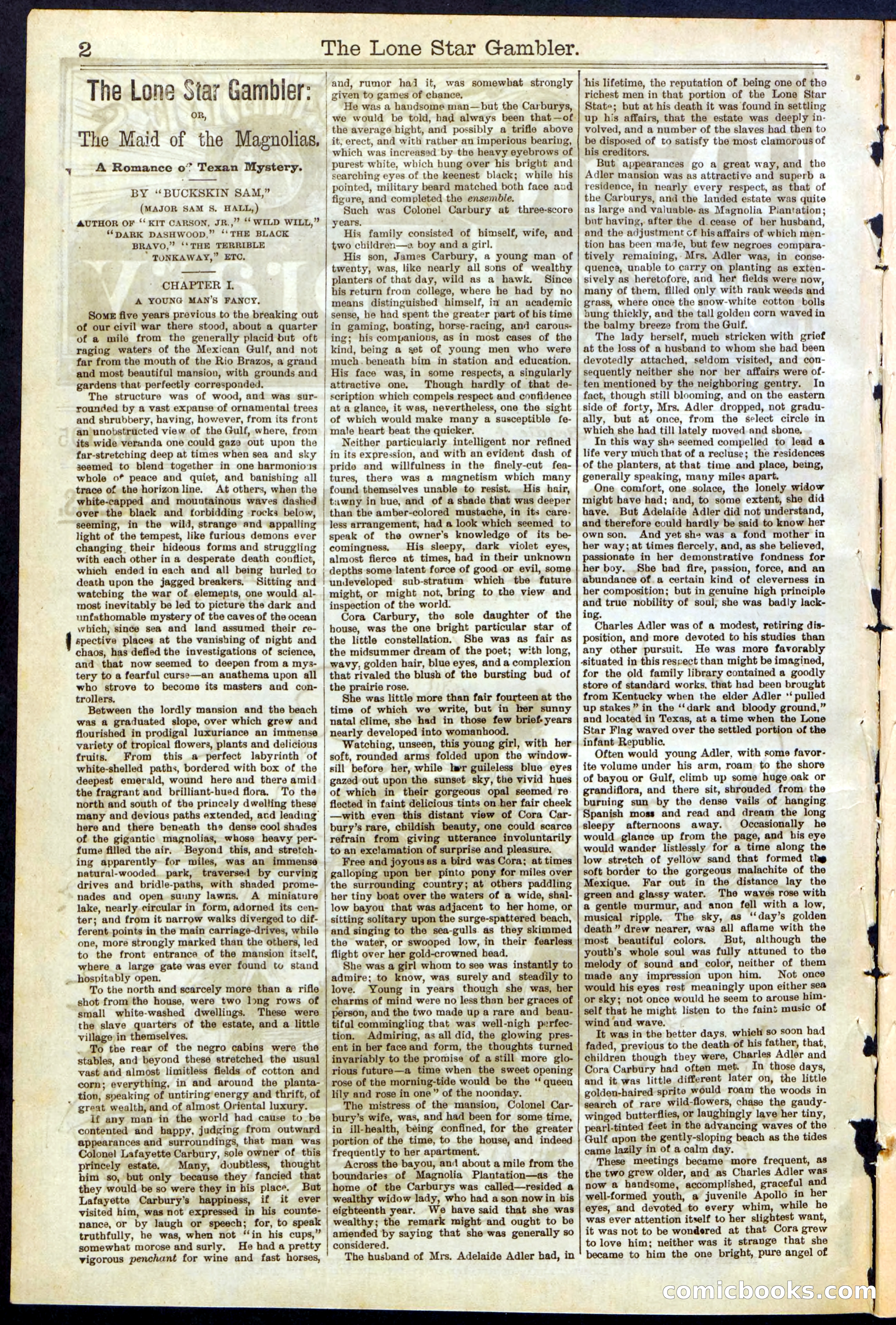 Beadle's New York Dime Library, No. 195 — page 2 of 28