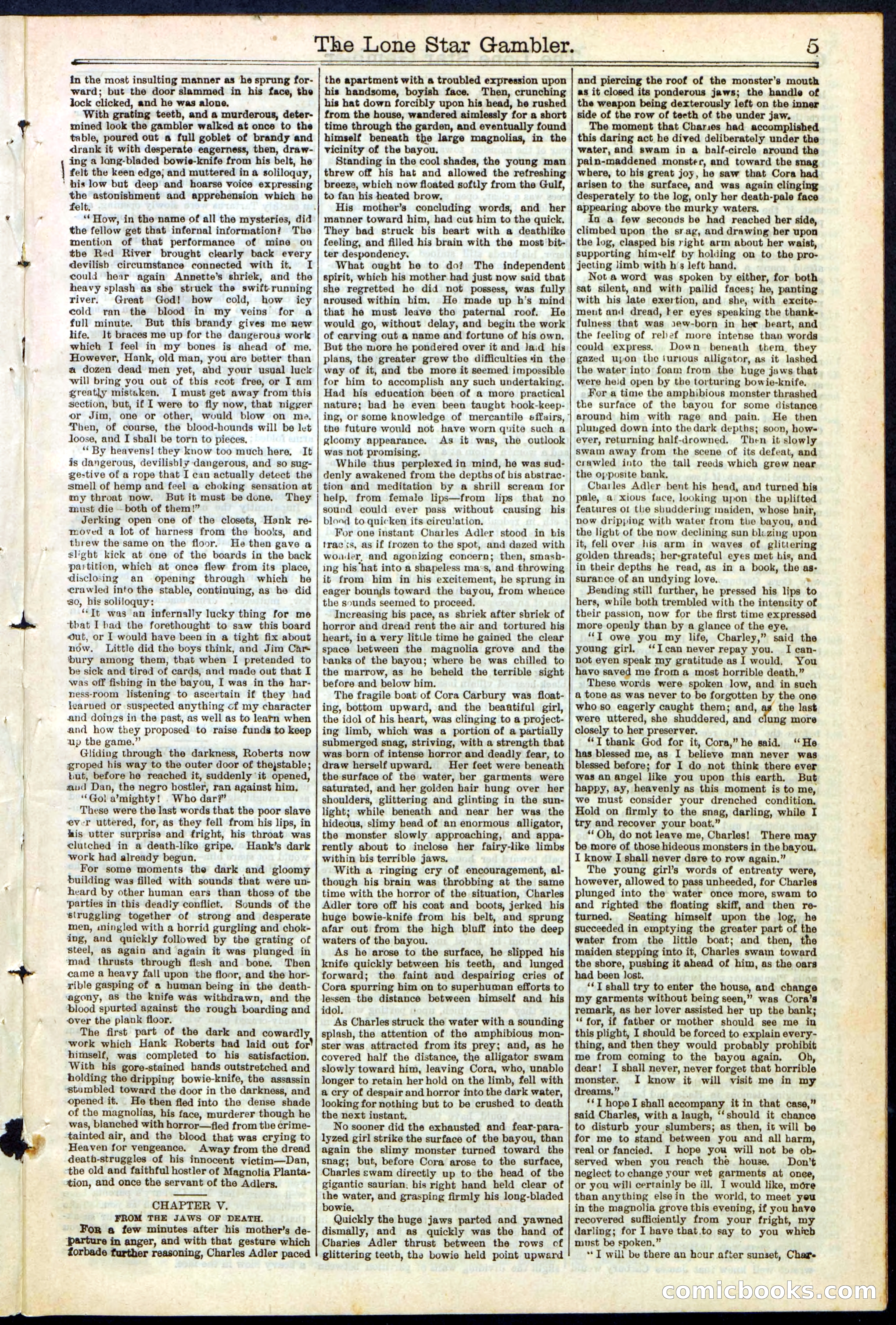 Beadle's New York Dime Library, No. 195 — page 5 of 28