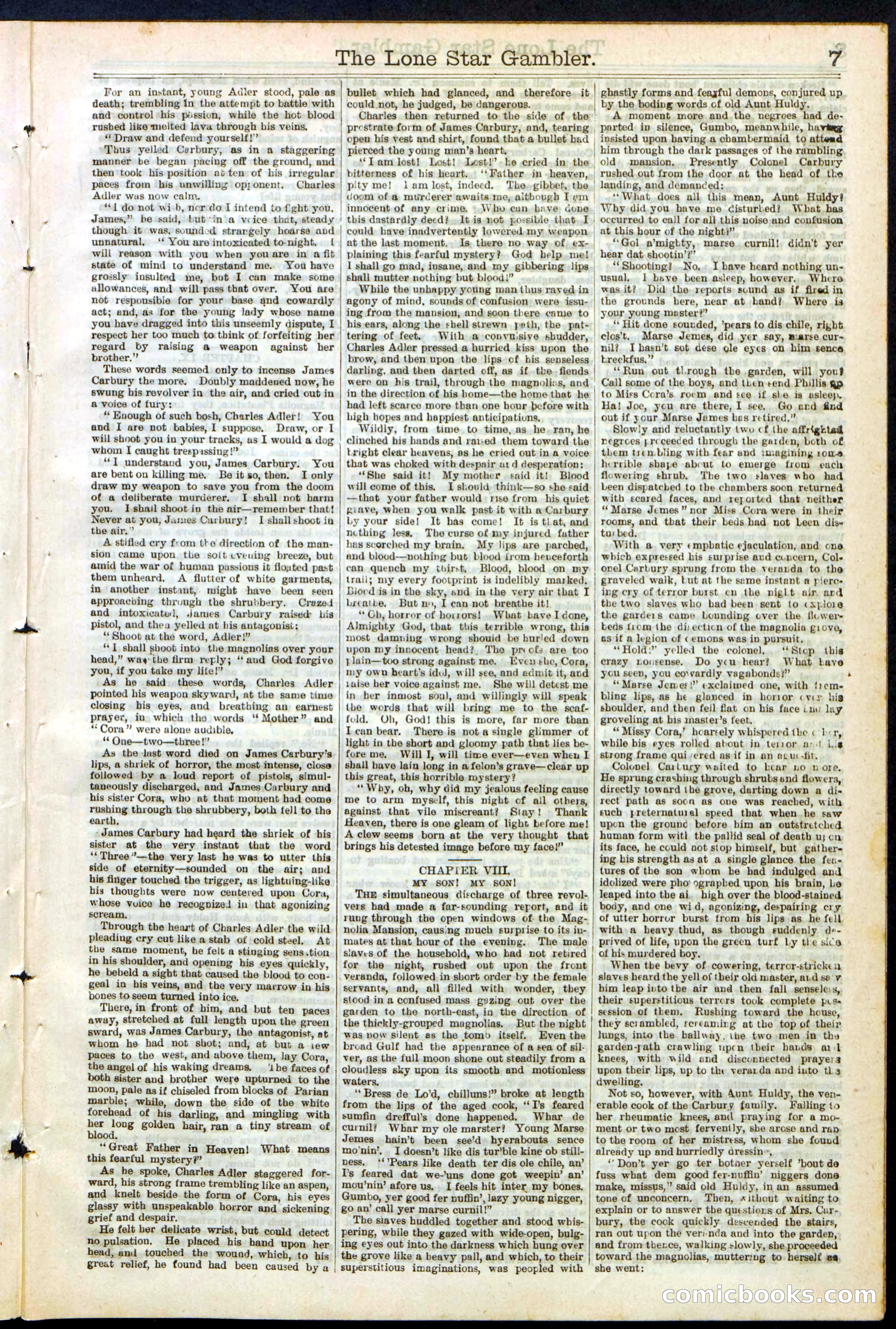 Beadle's New York Dime Library, No. 195 — page 7 of 28
