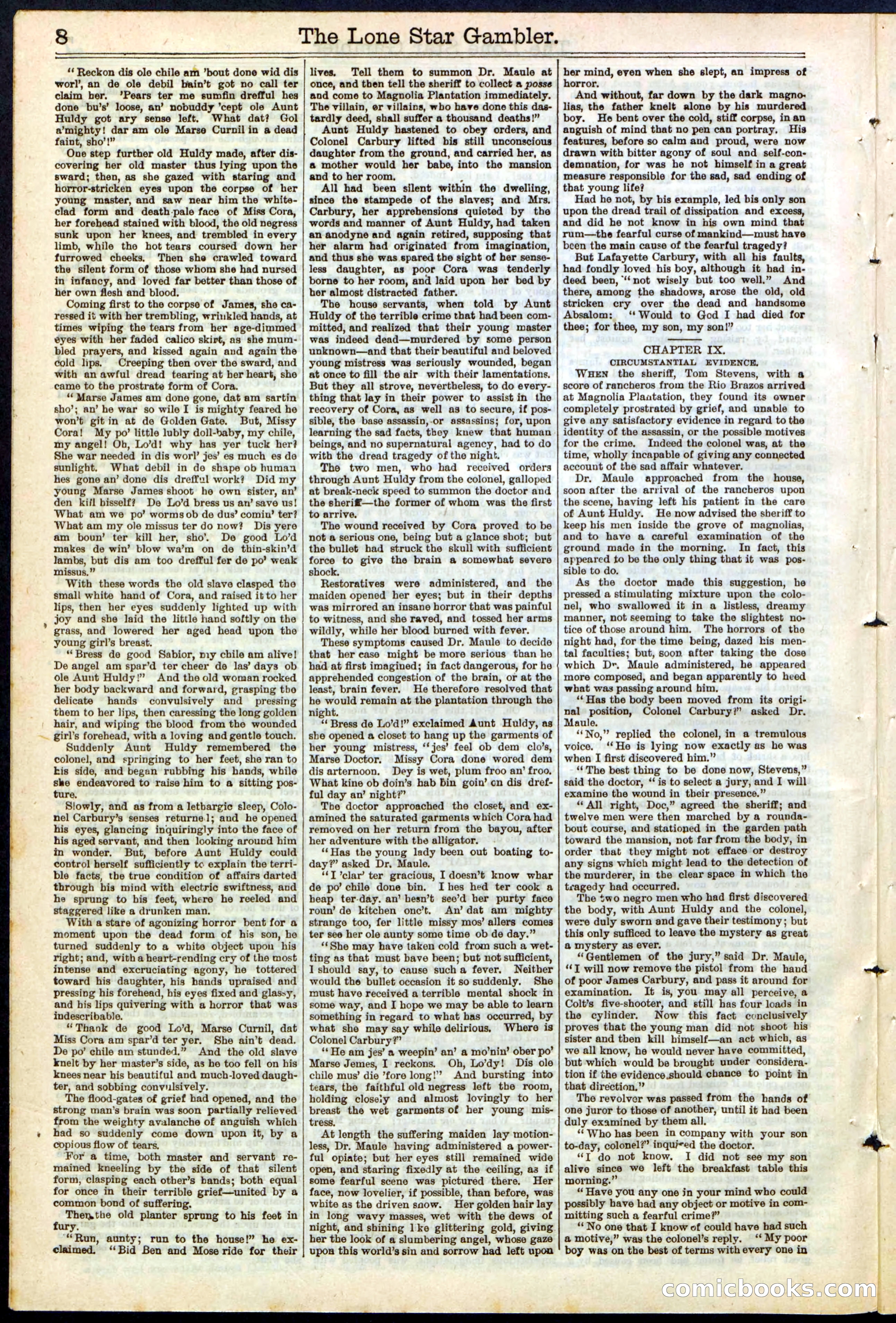 Beadle's New York Dime Library, No. 195 — page 8 of 28