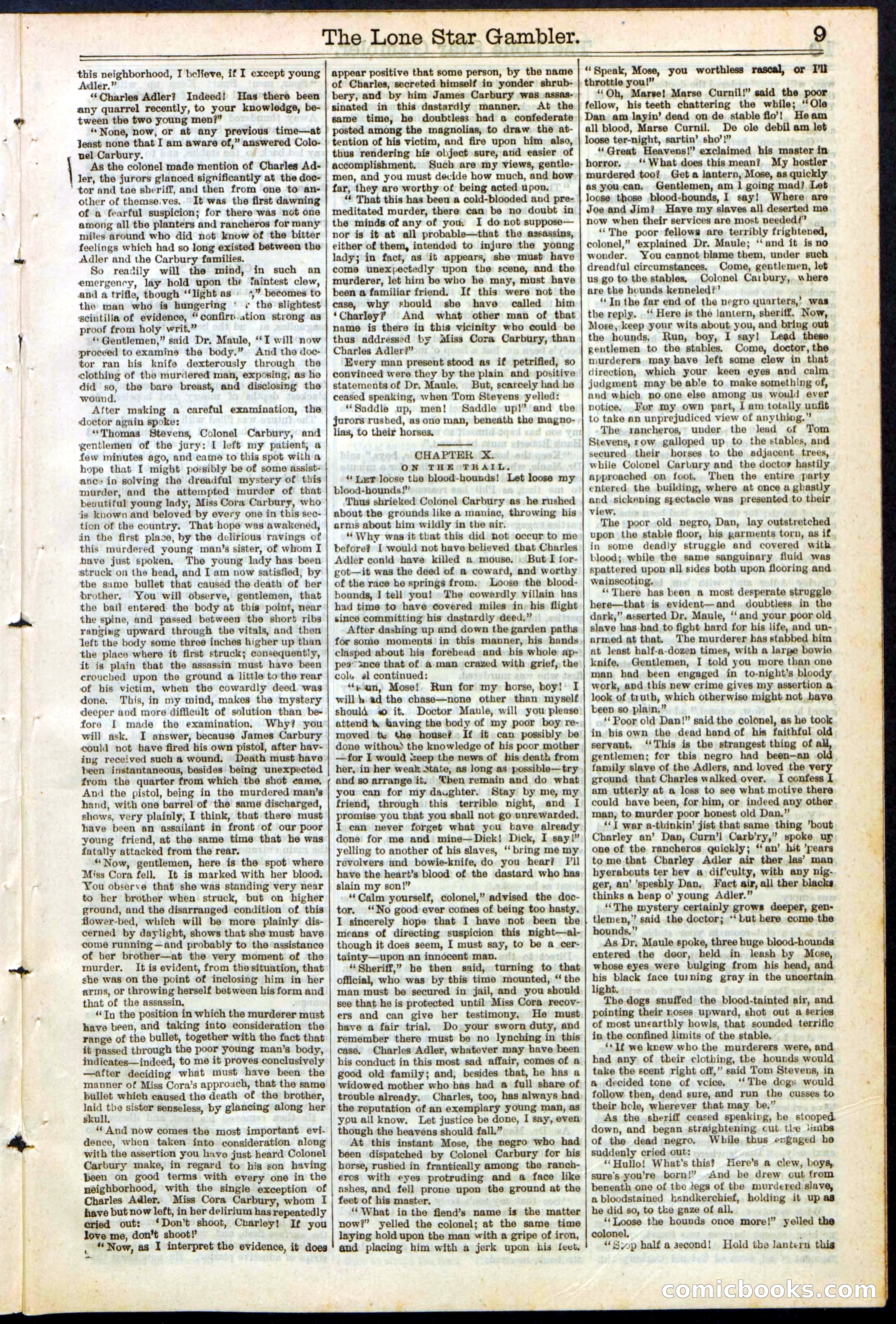 Beadle's New York Dime Library, No. 195 — page 9 of 28