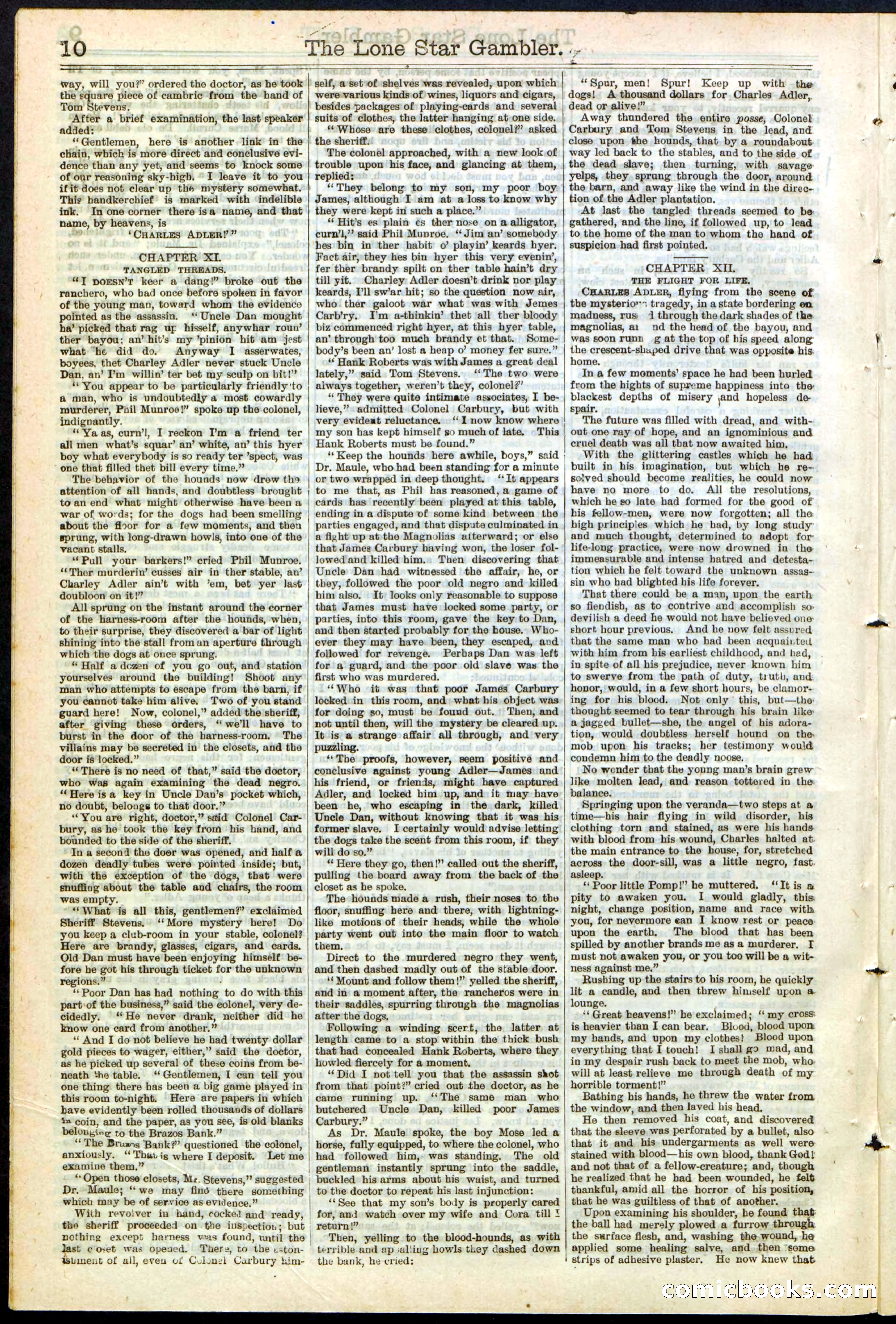 Beadle's New York Dime Library, No. 195 — page 10 of 28