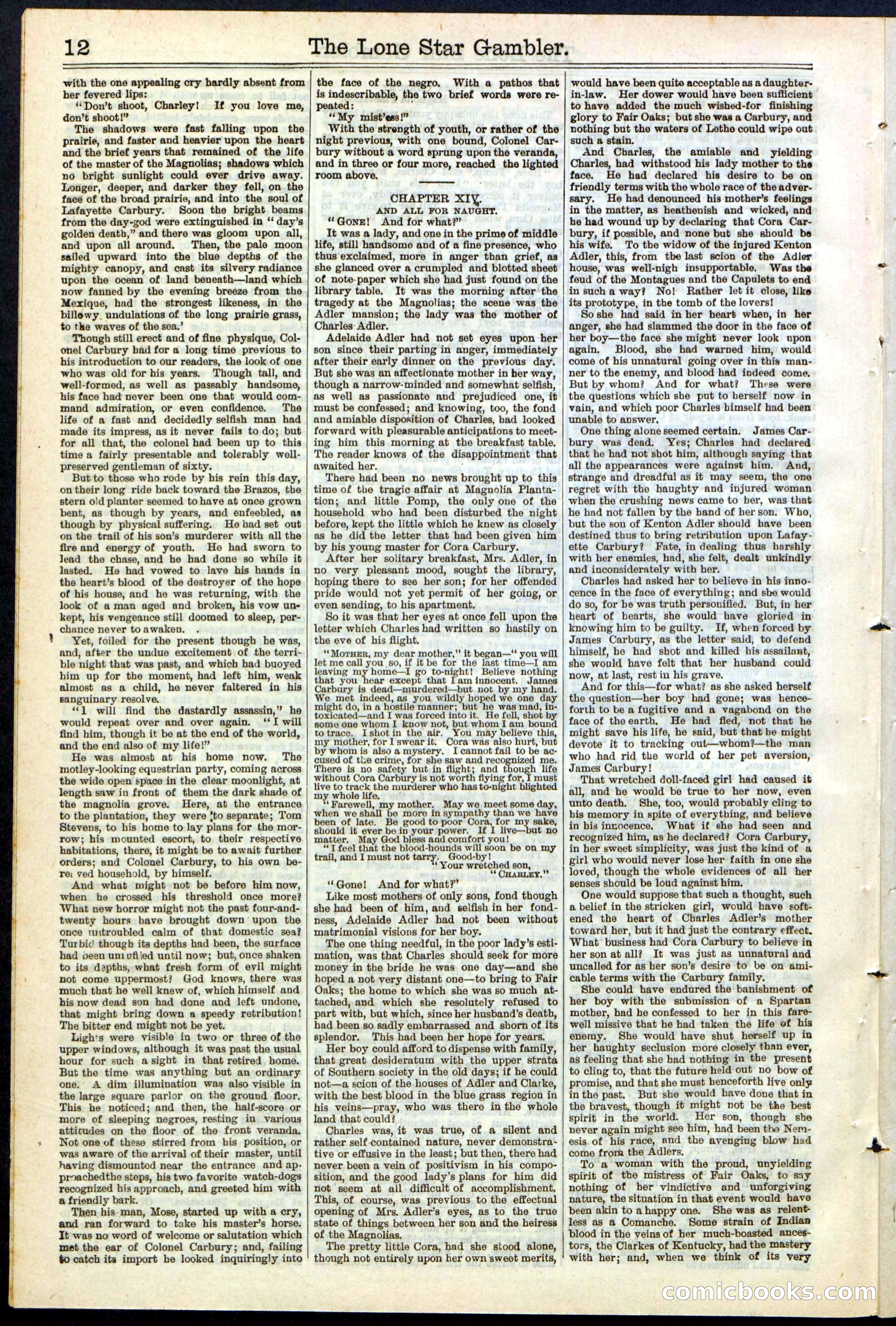 Beadle's New York Dime Library, No. 195 — page 12 of 28