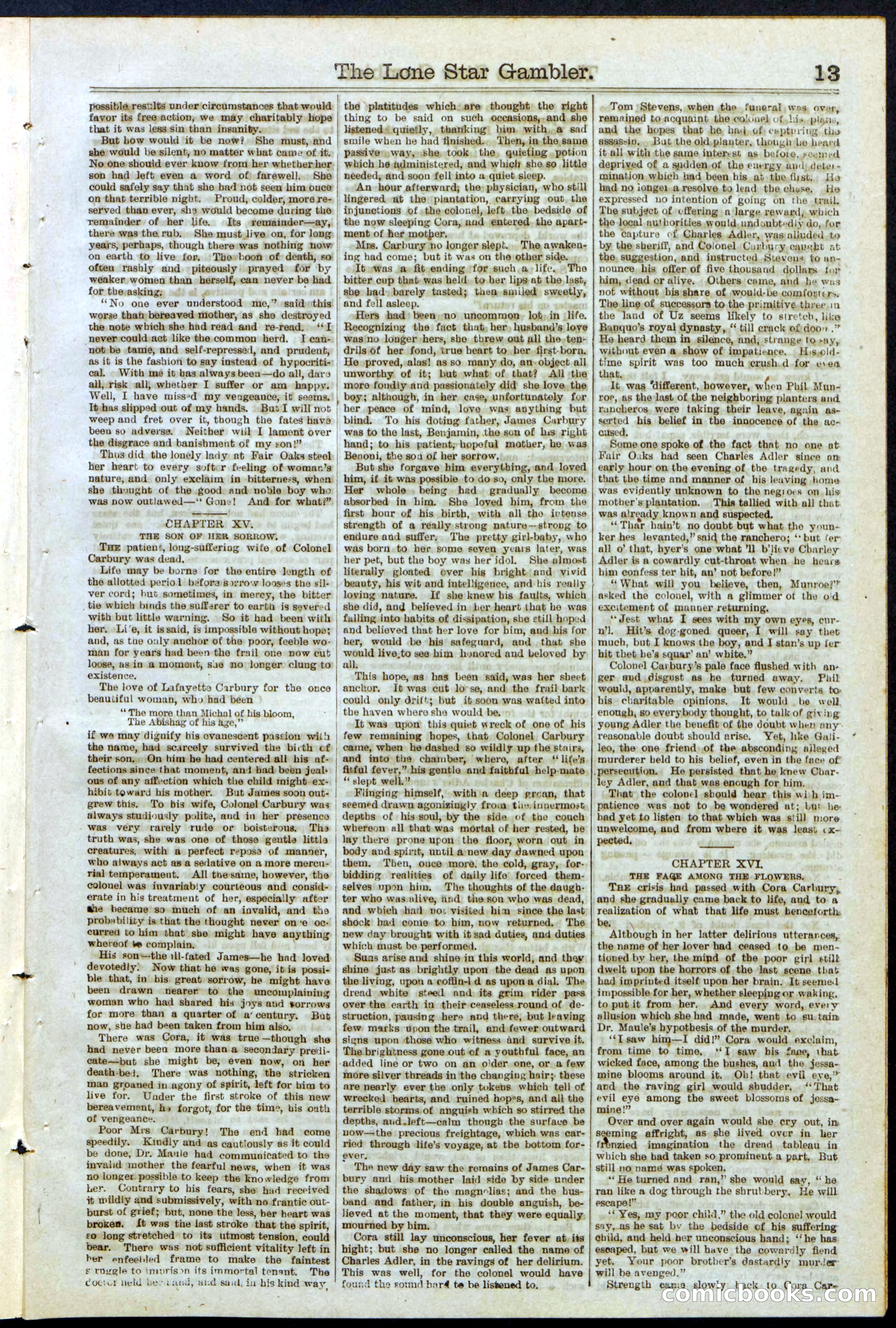 Beadle's New York Dime Library, No. 195 — page 13 of 28