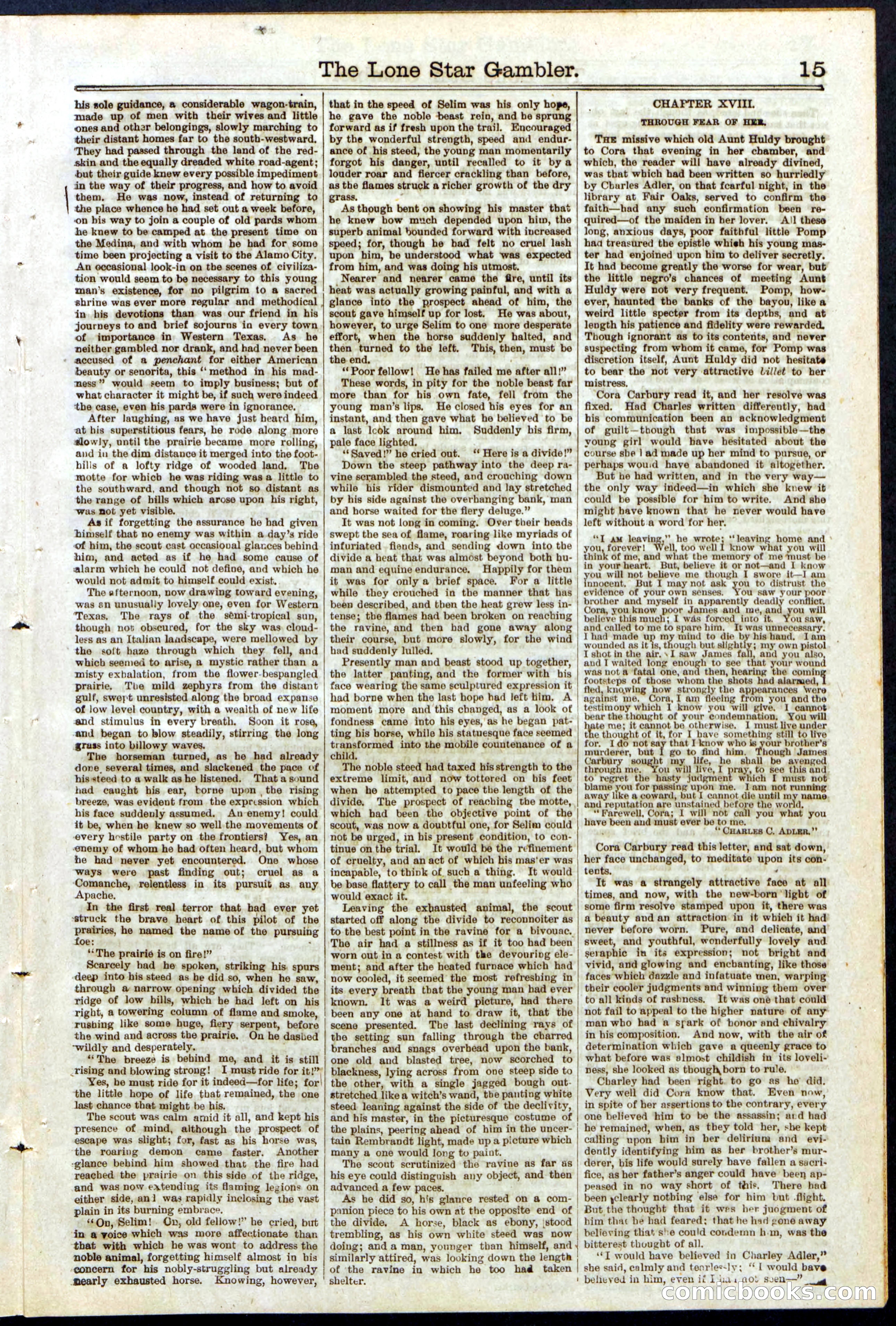 Beadle's New York Dime Library, No. 195 — page 15 of 28