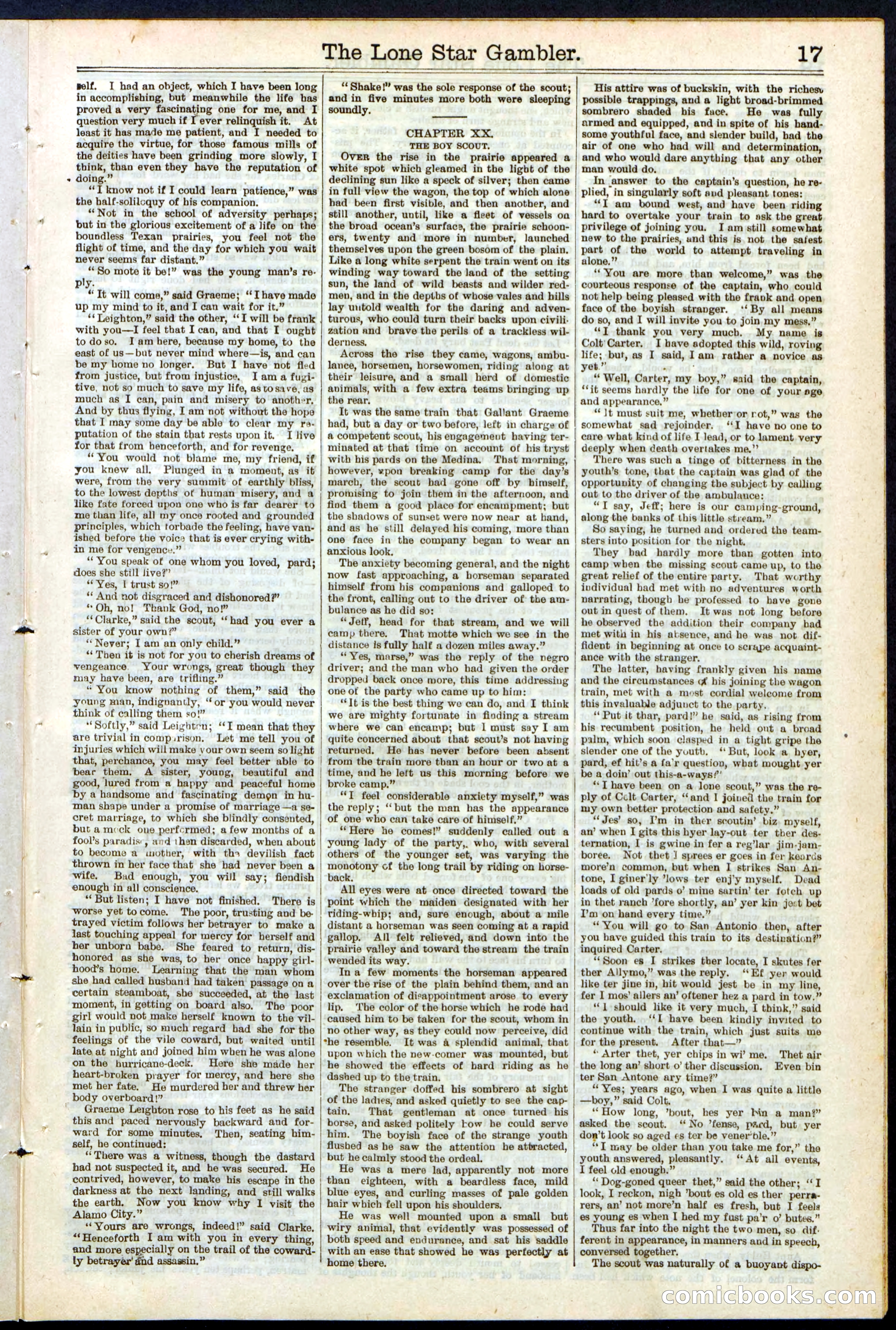 Beadle's New York Dime Library, No. 195 — page 17 of 28