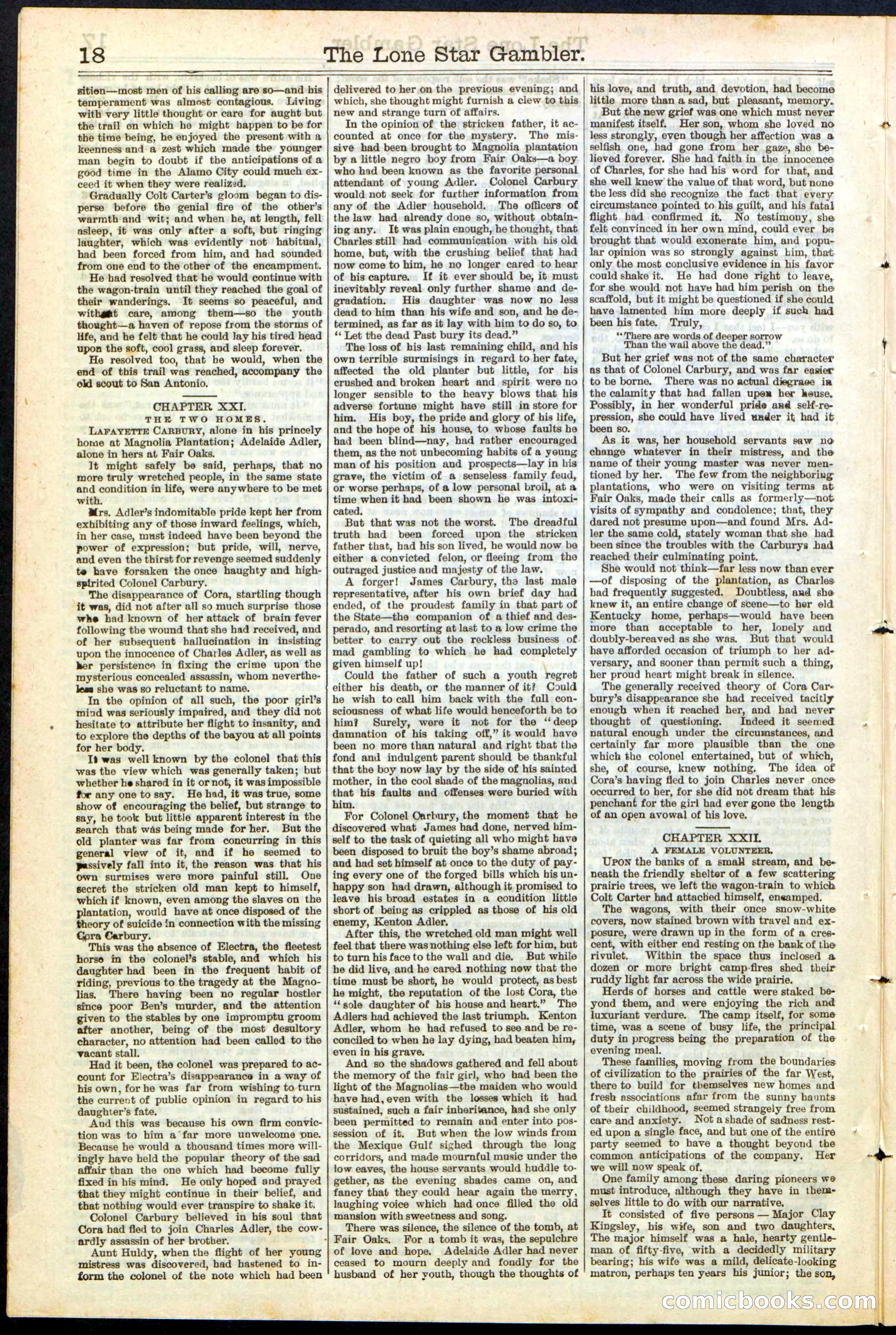 Beadle's New York Dime Library, No. 195 — page 18 of 28