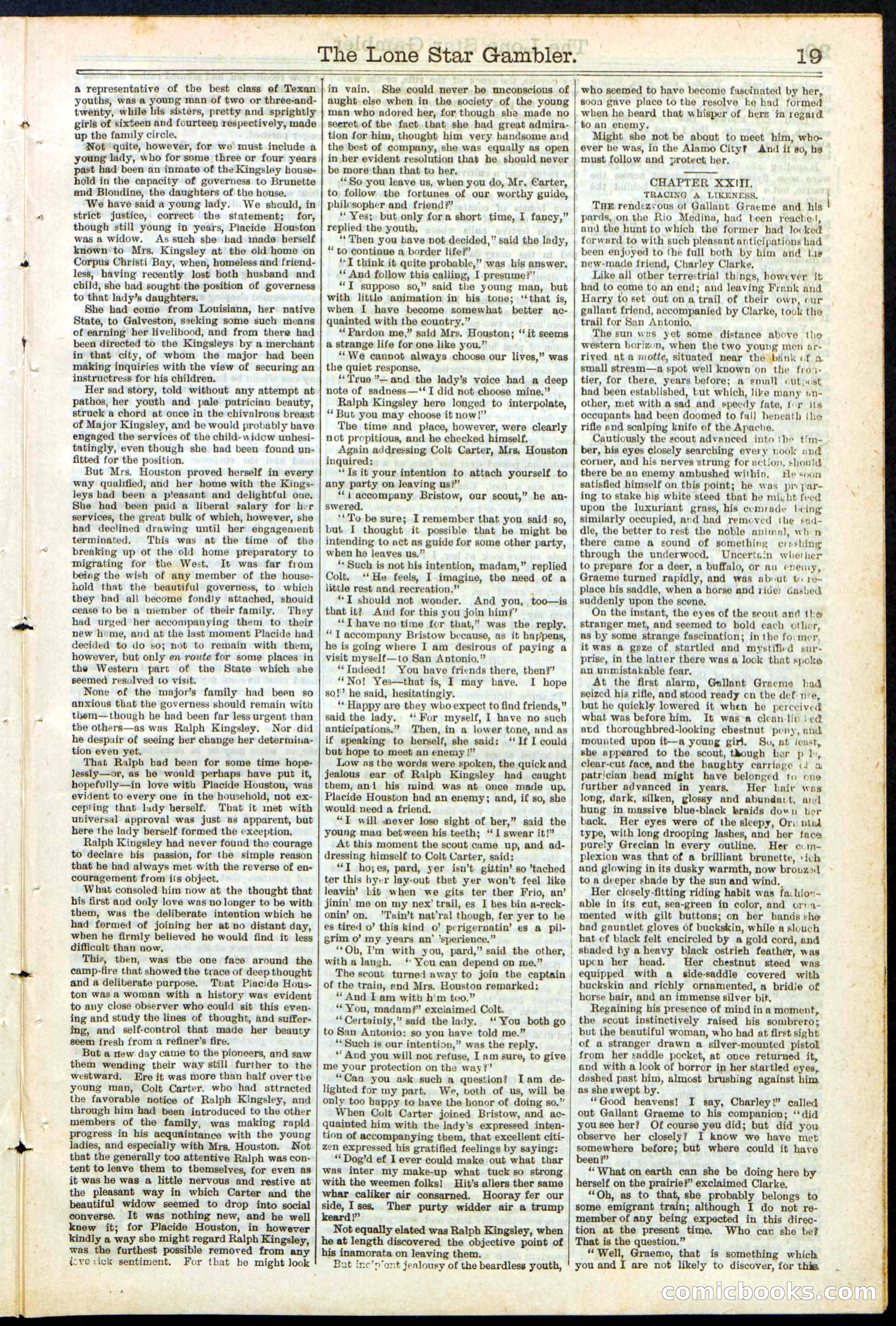 Beadle's New York Dime Library, No. 195 — page 19 of 28