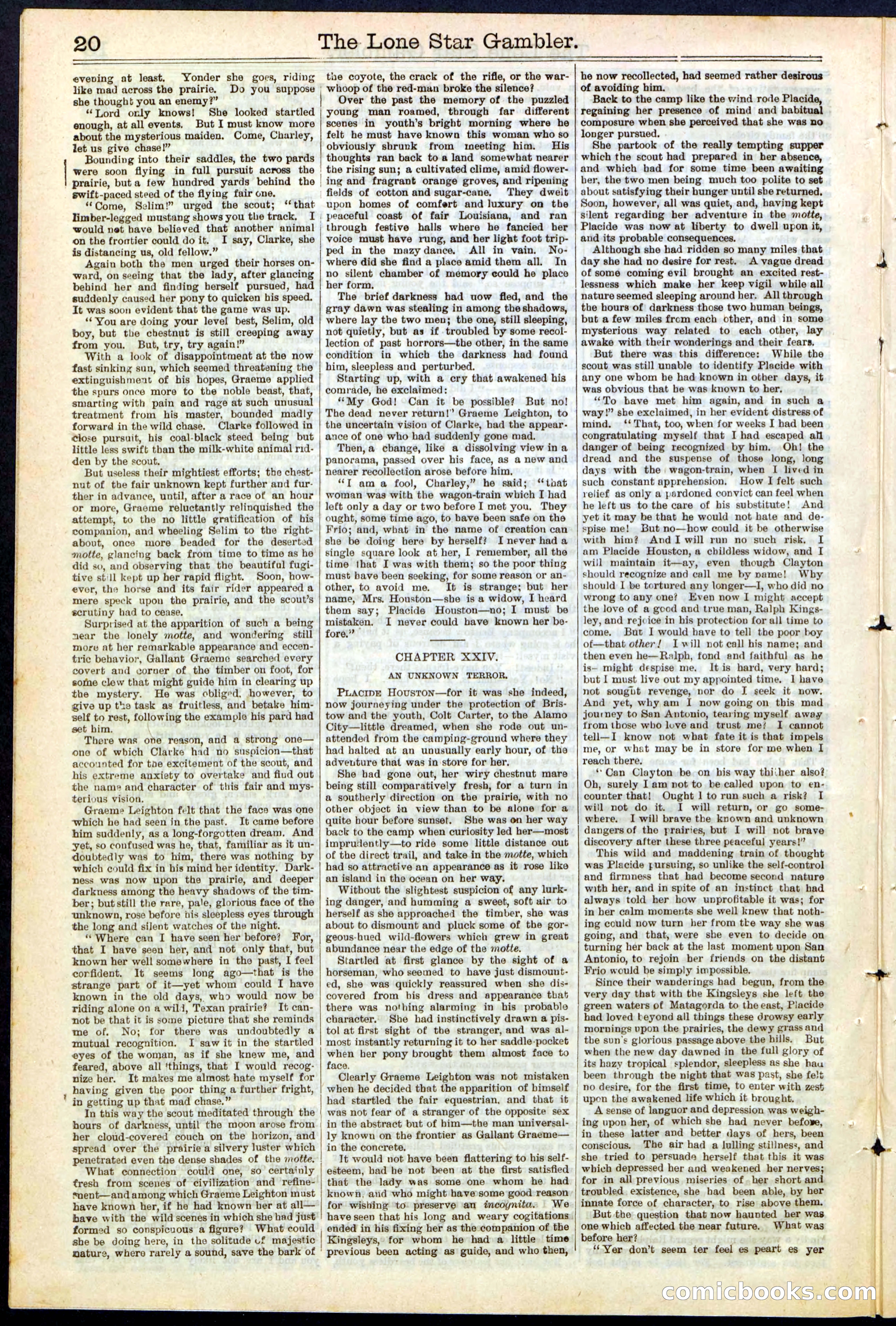 Beadle's New York Dime Library, No. 195 — page 20 of 28