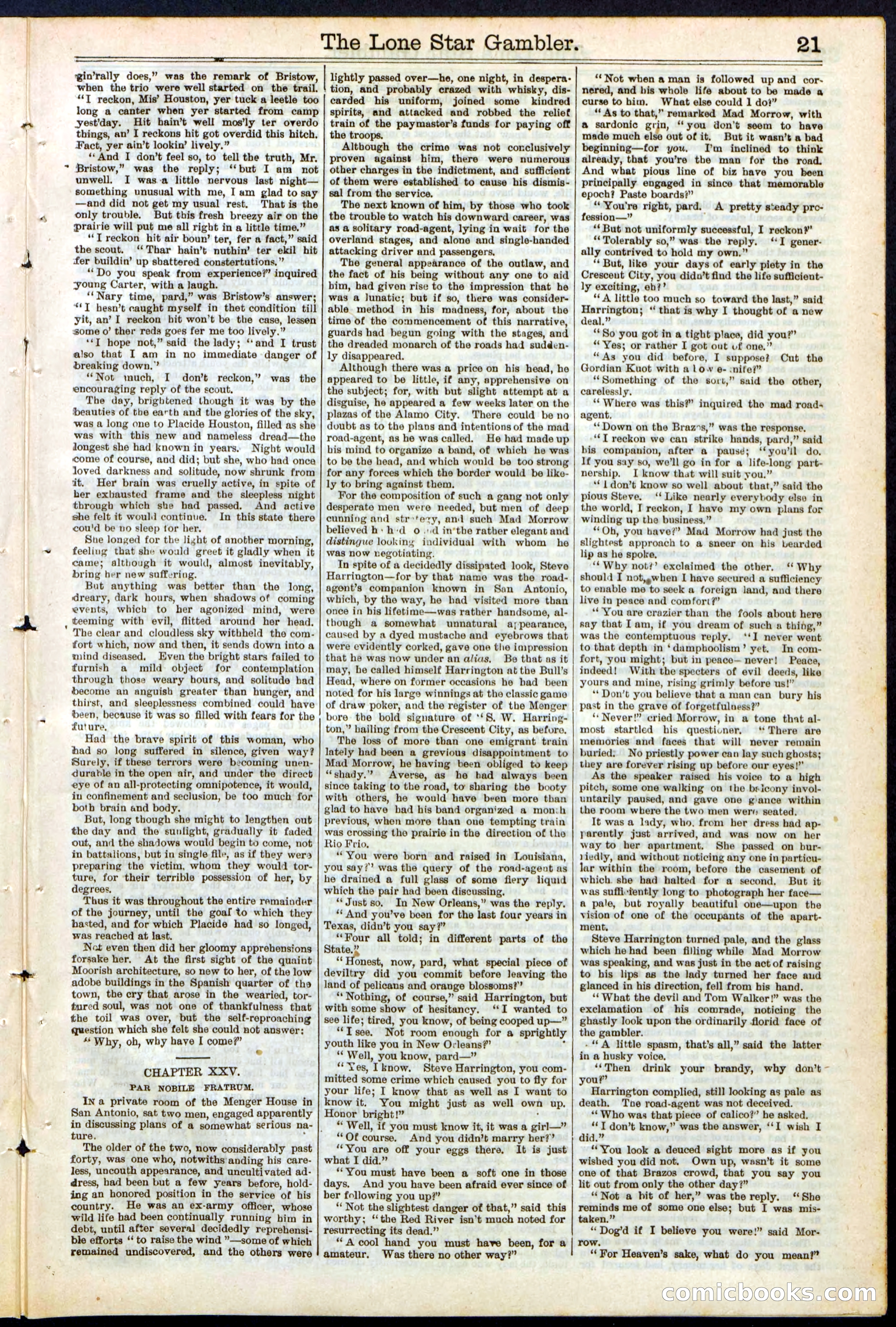 Beadle's New York Dime Library, No. 195 — page 21 of 28