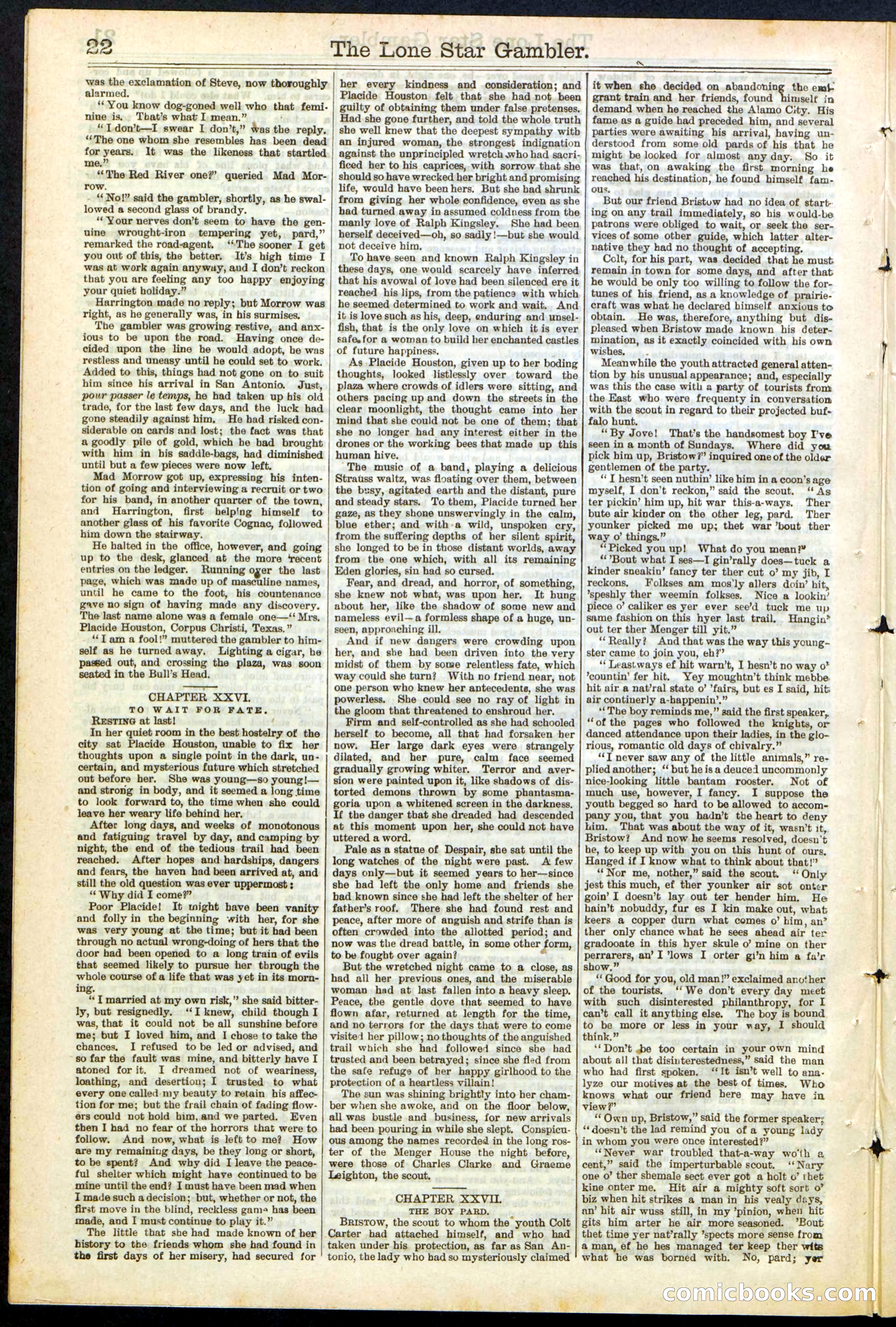 Beadle's New York Dime Library, No. 195 — page 22 of 28