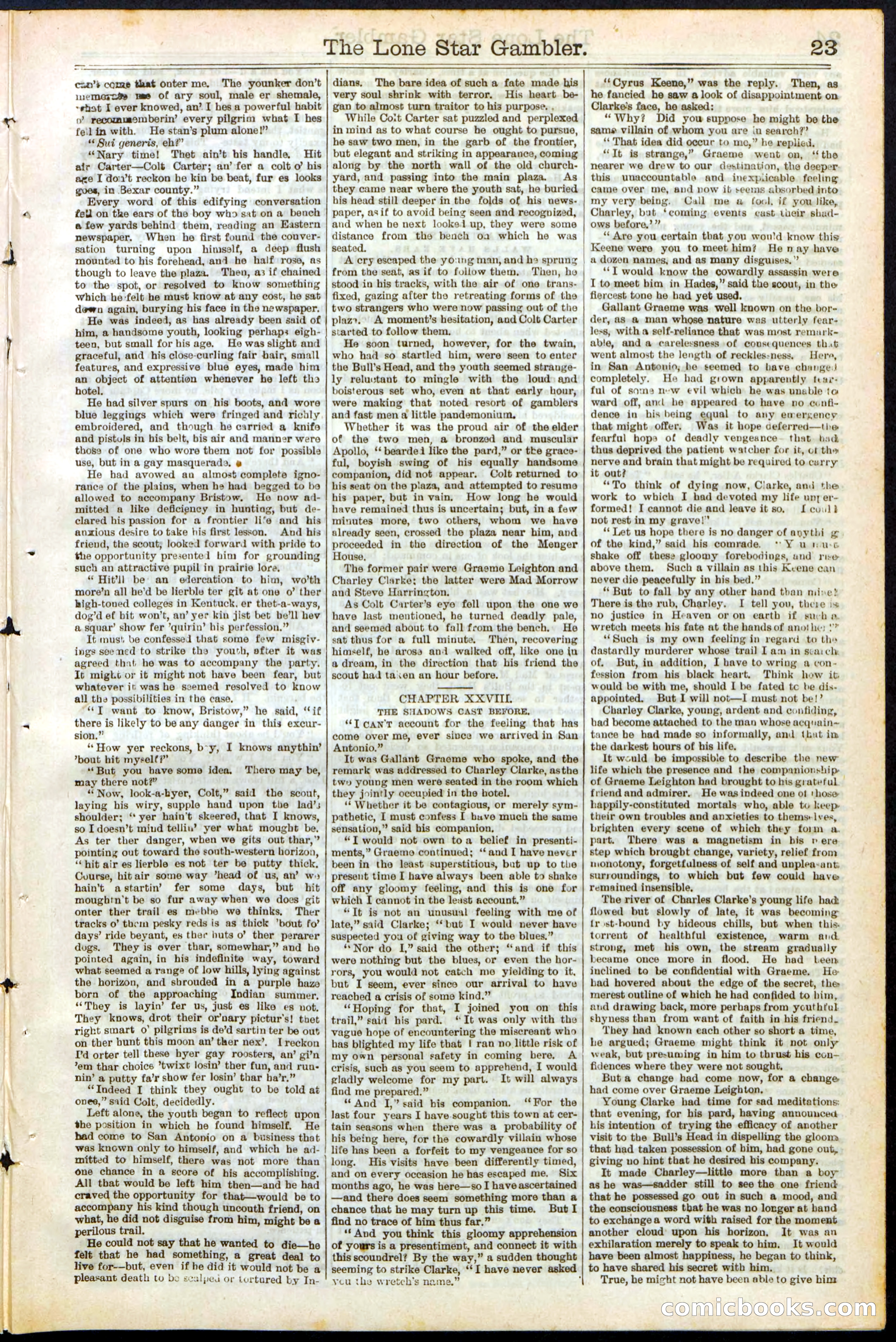 Beadle's New York Dime Library, No. 195 — page 23 of 28