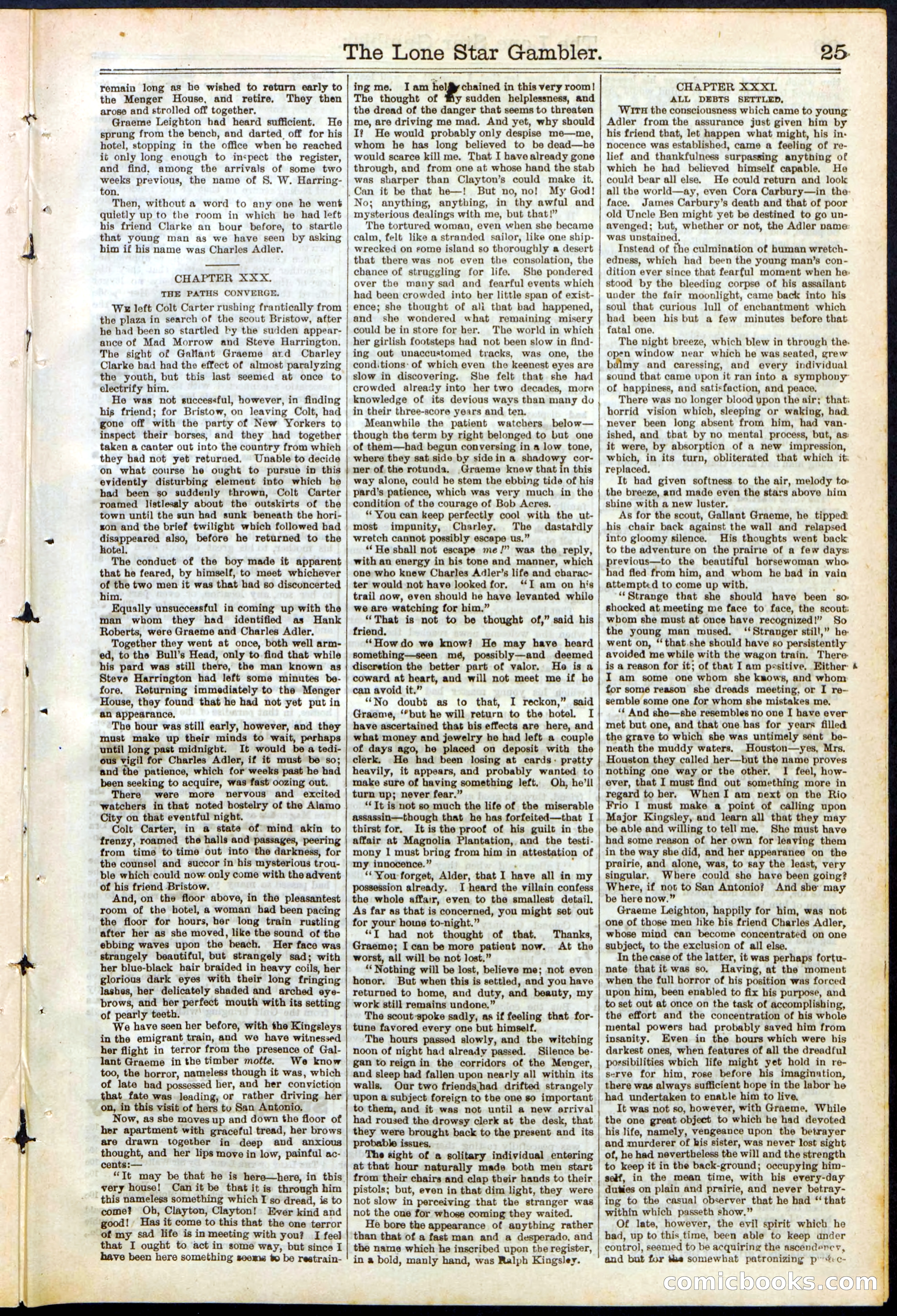 Beadle's New York Dime Library, No. 195 — page 25 of 28