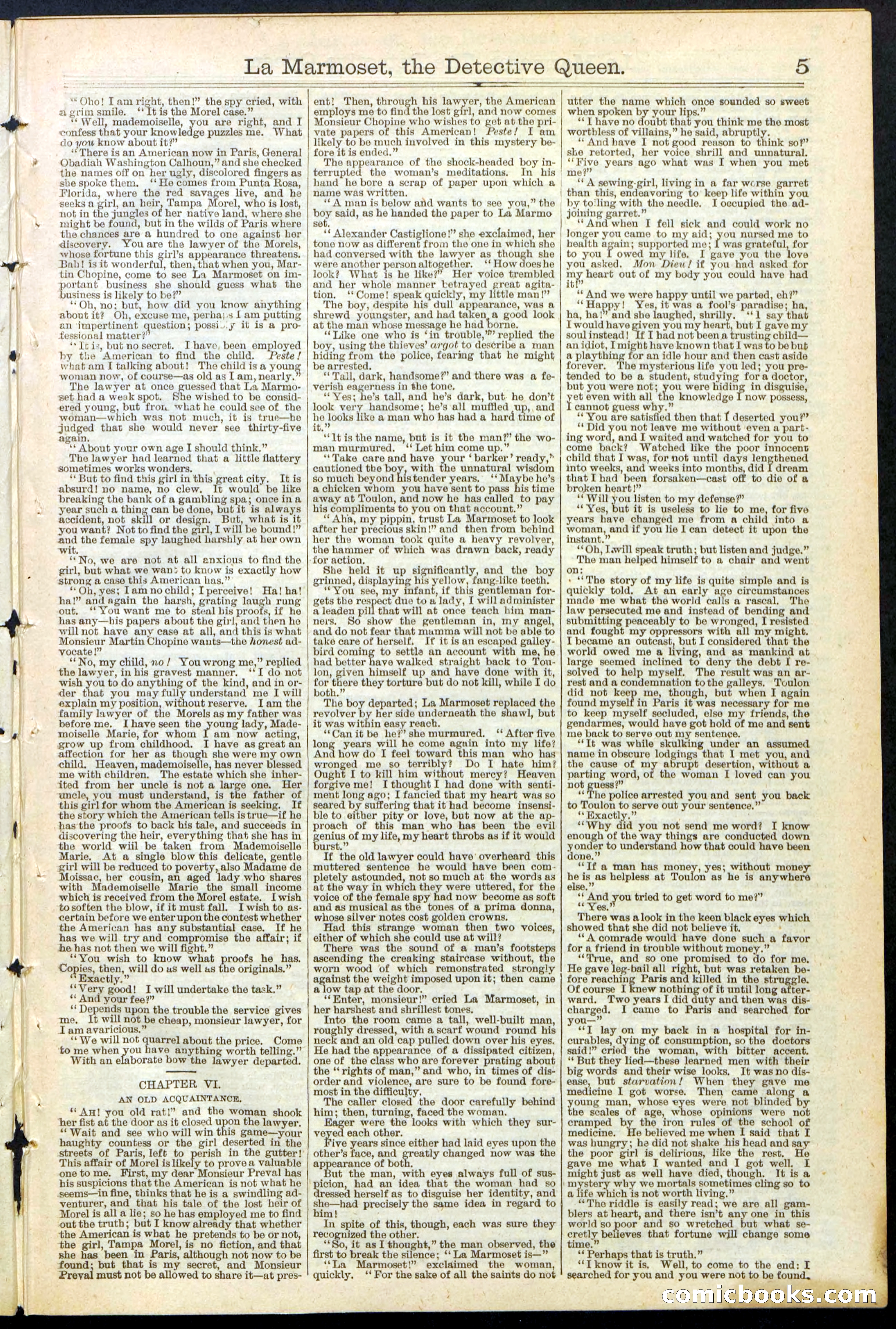 Beadle's New York Dime Library, No. 196 — page 5 of 28