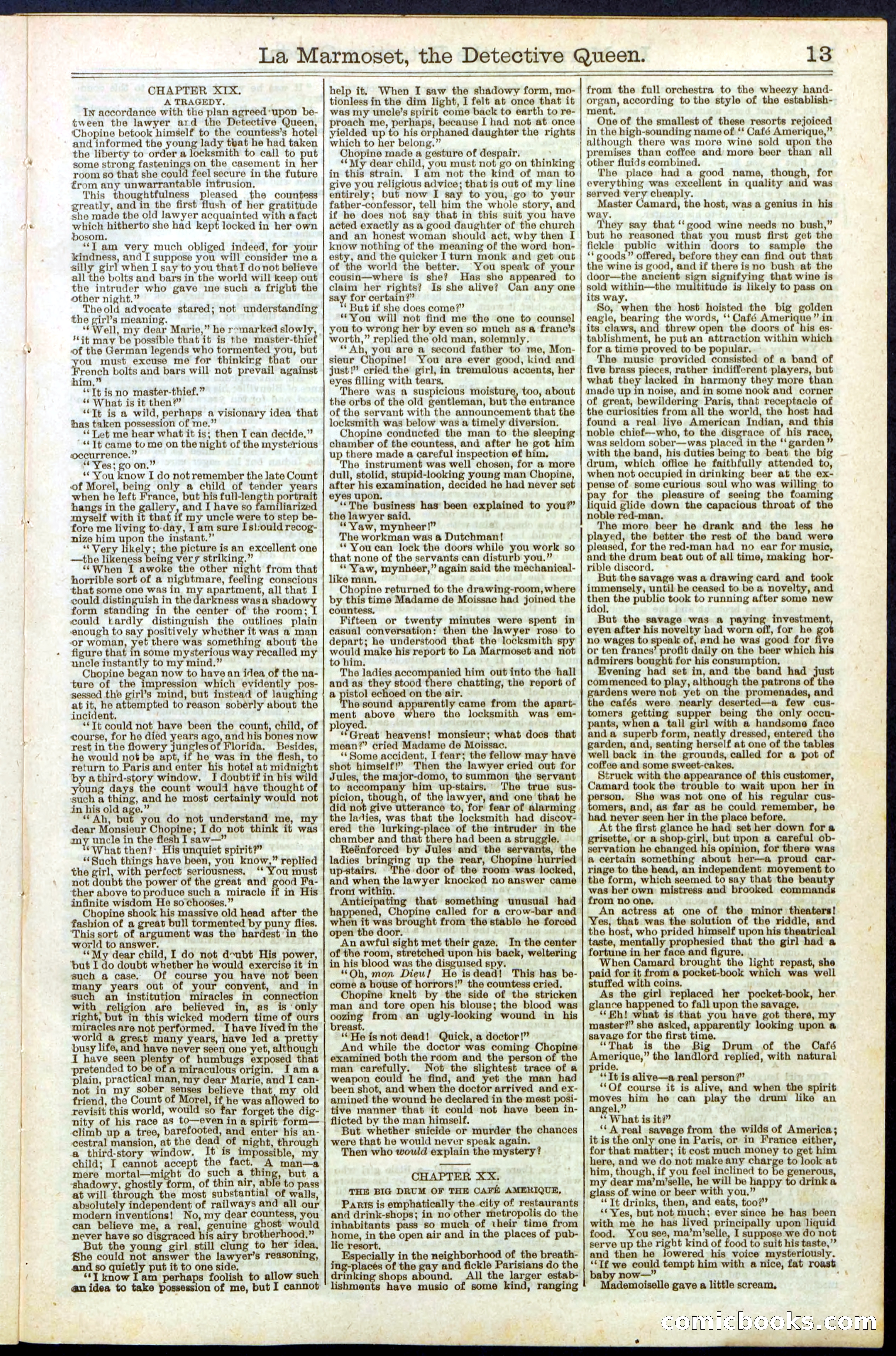 Beadle's New York Dime Library, No. 196 — page 13 of 28