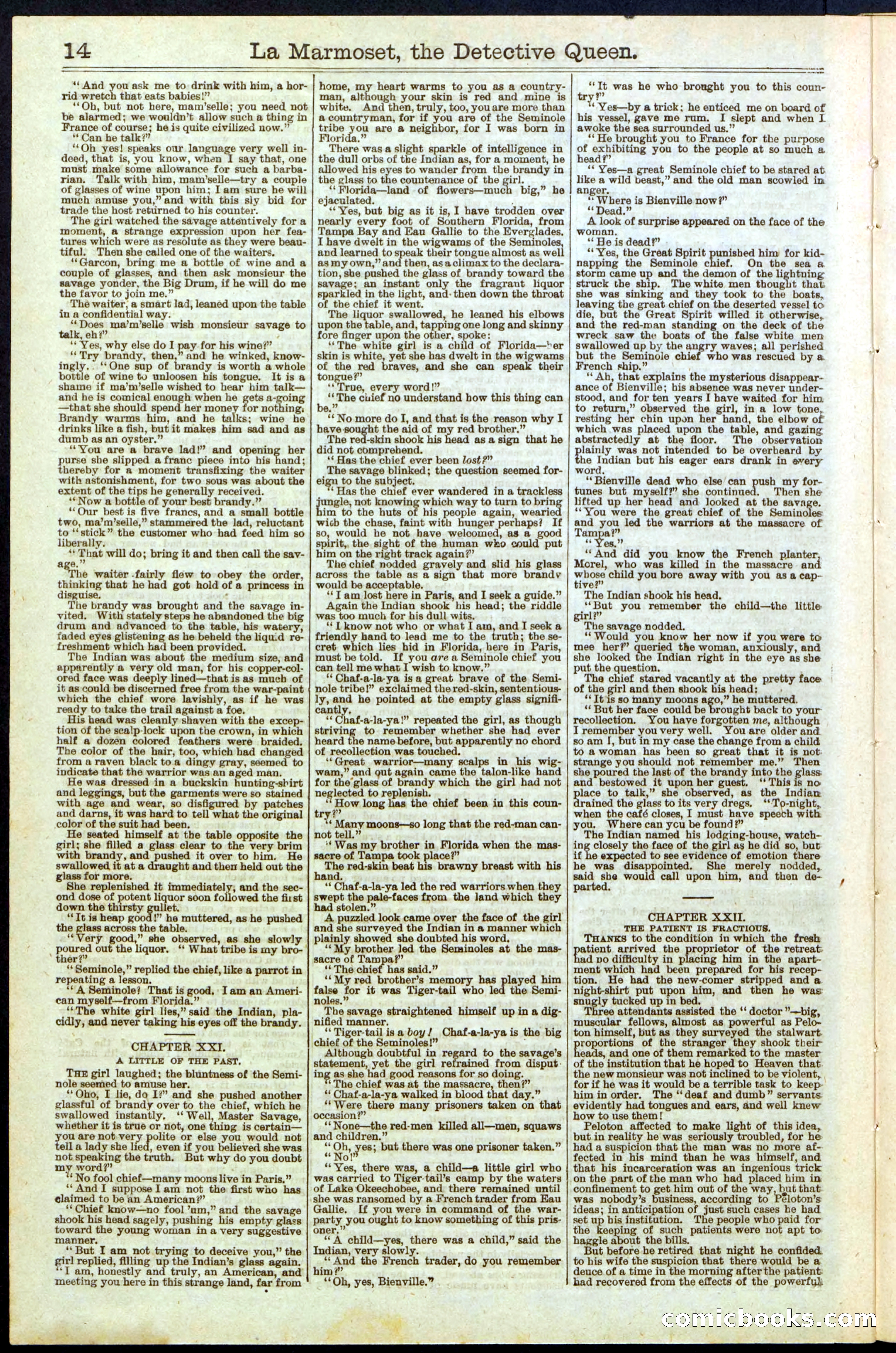 Beadle's New York Dime Library, No. 196 — page 14 of 28