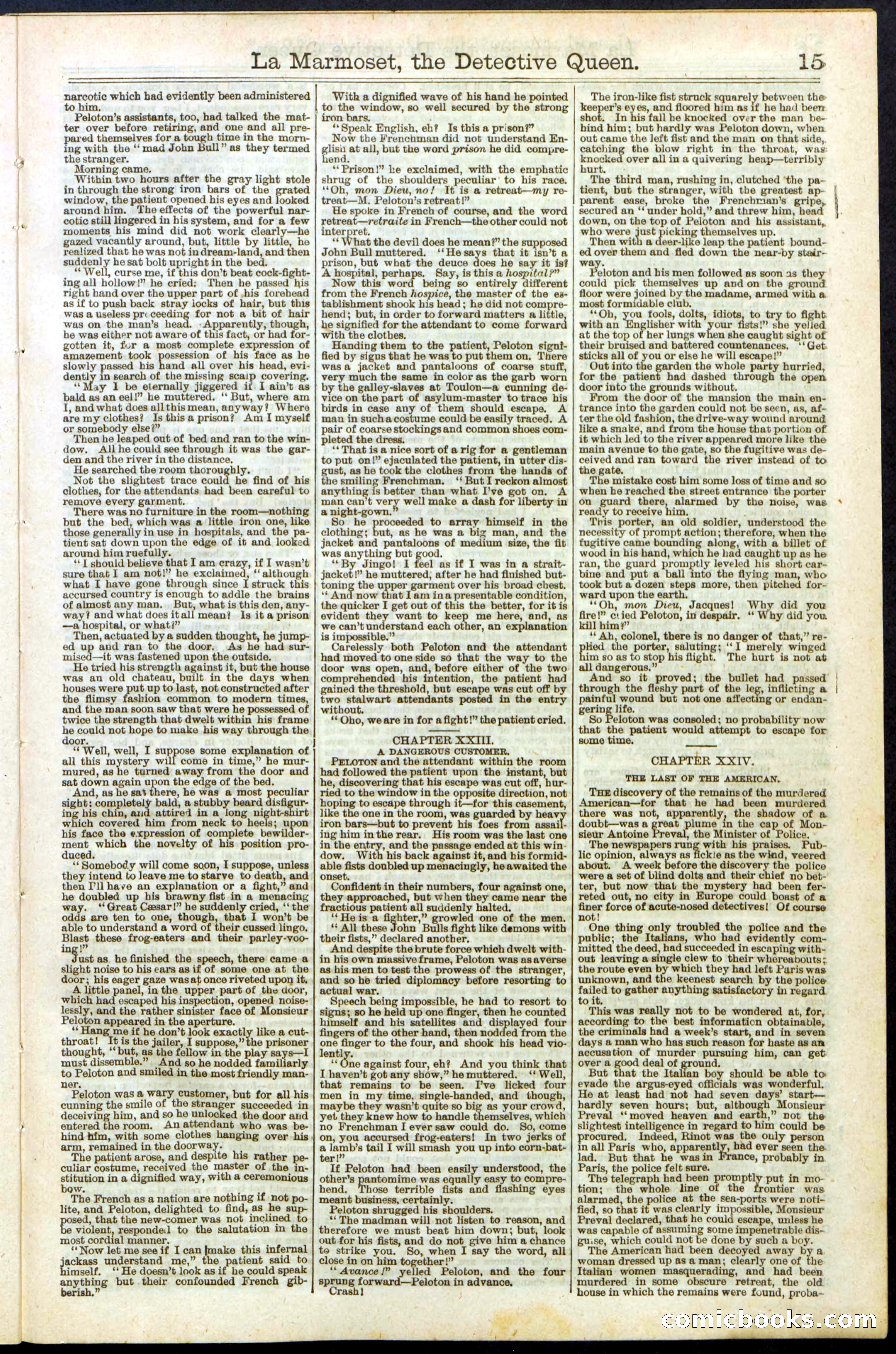 Beadle's New York Dime Library, No. 196 — page 15 of 28