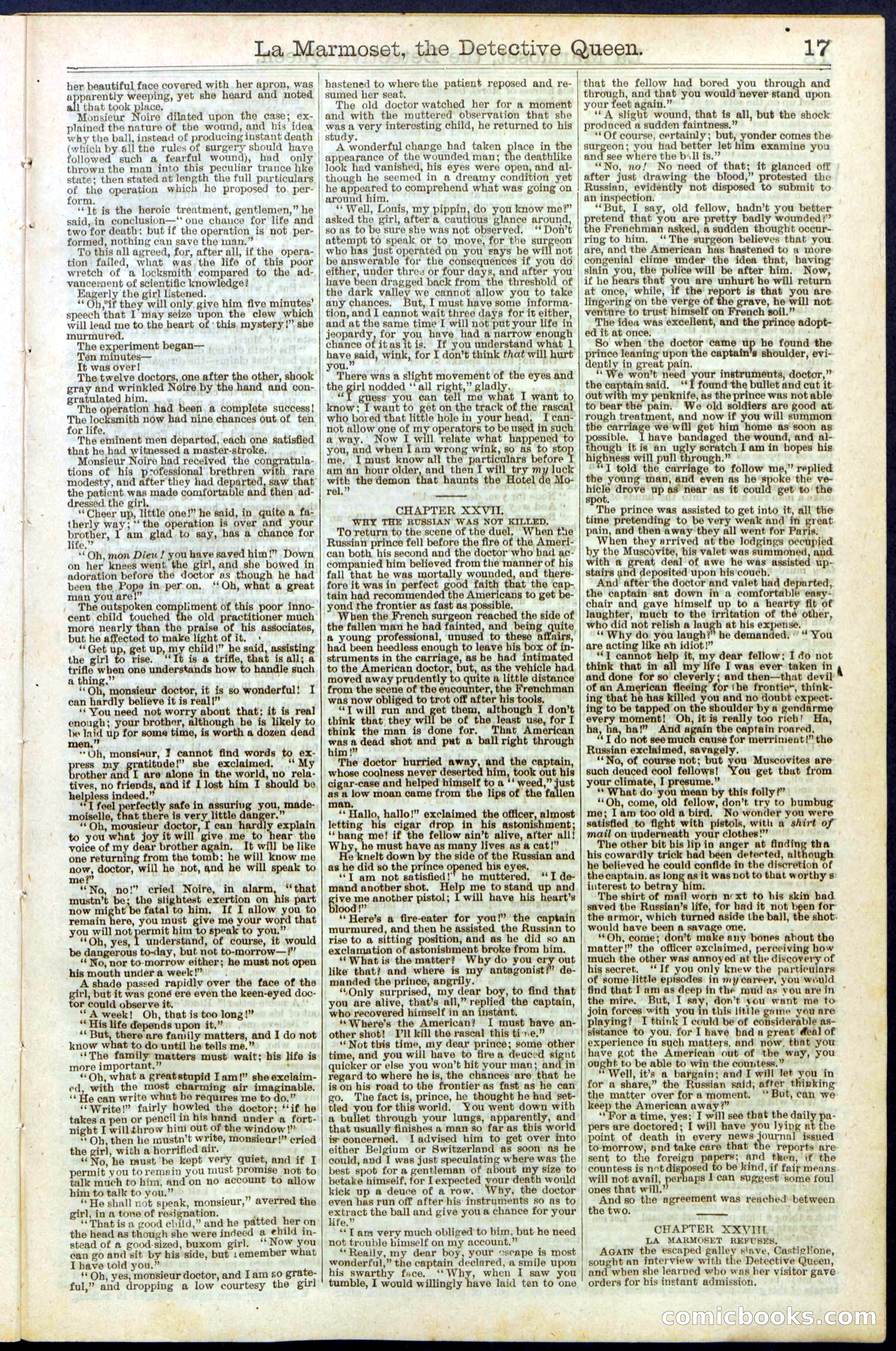 Beadle's New York Dime Library, No. 196 — page 17 of 28