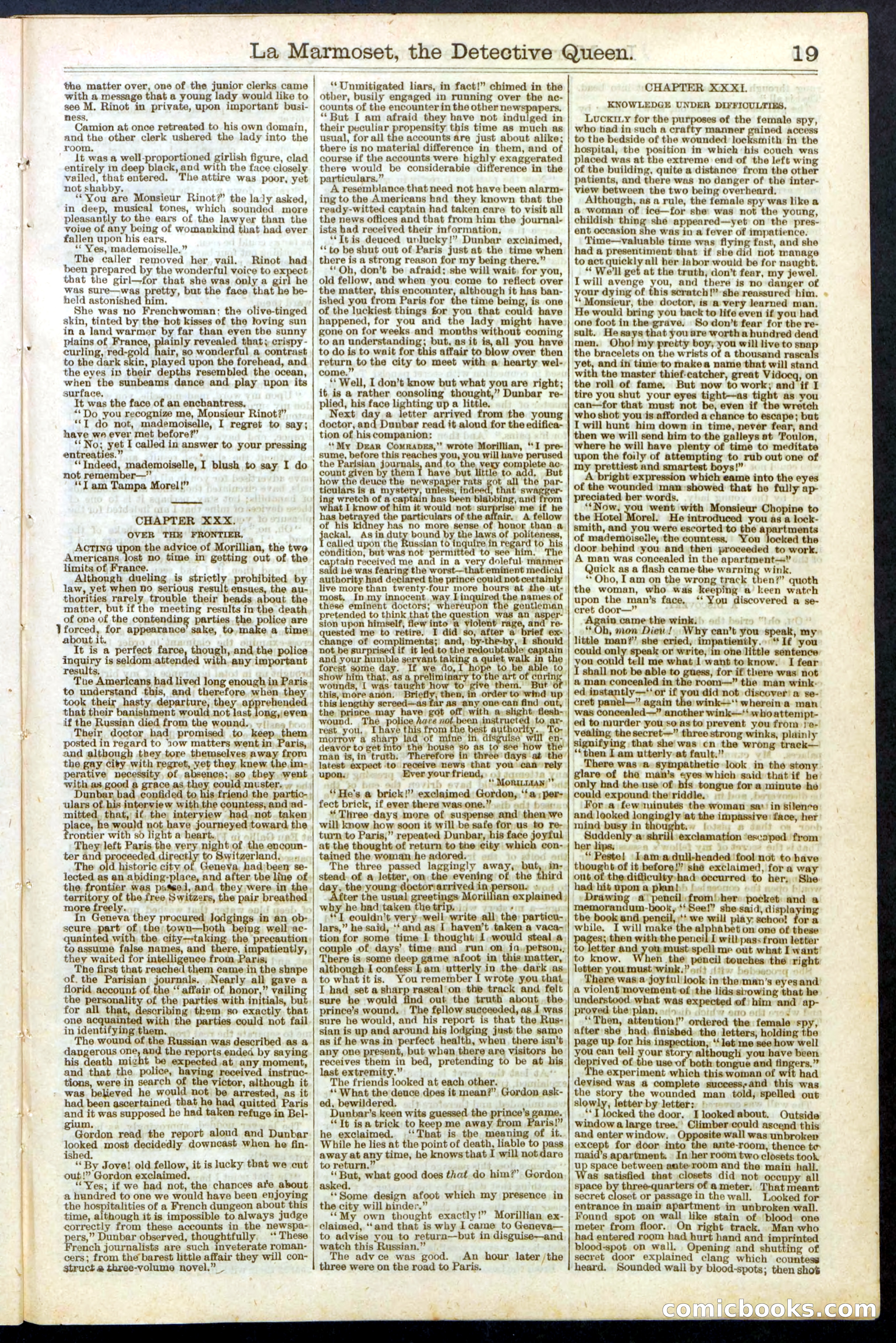 Beadle's New York Dime Library, No. 196 — page 19 of 28