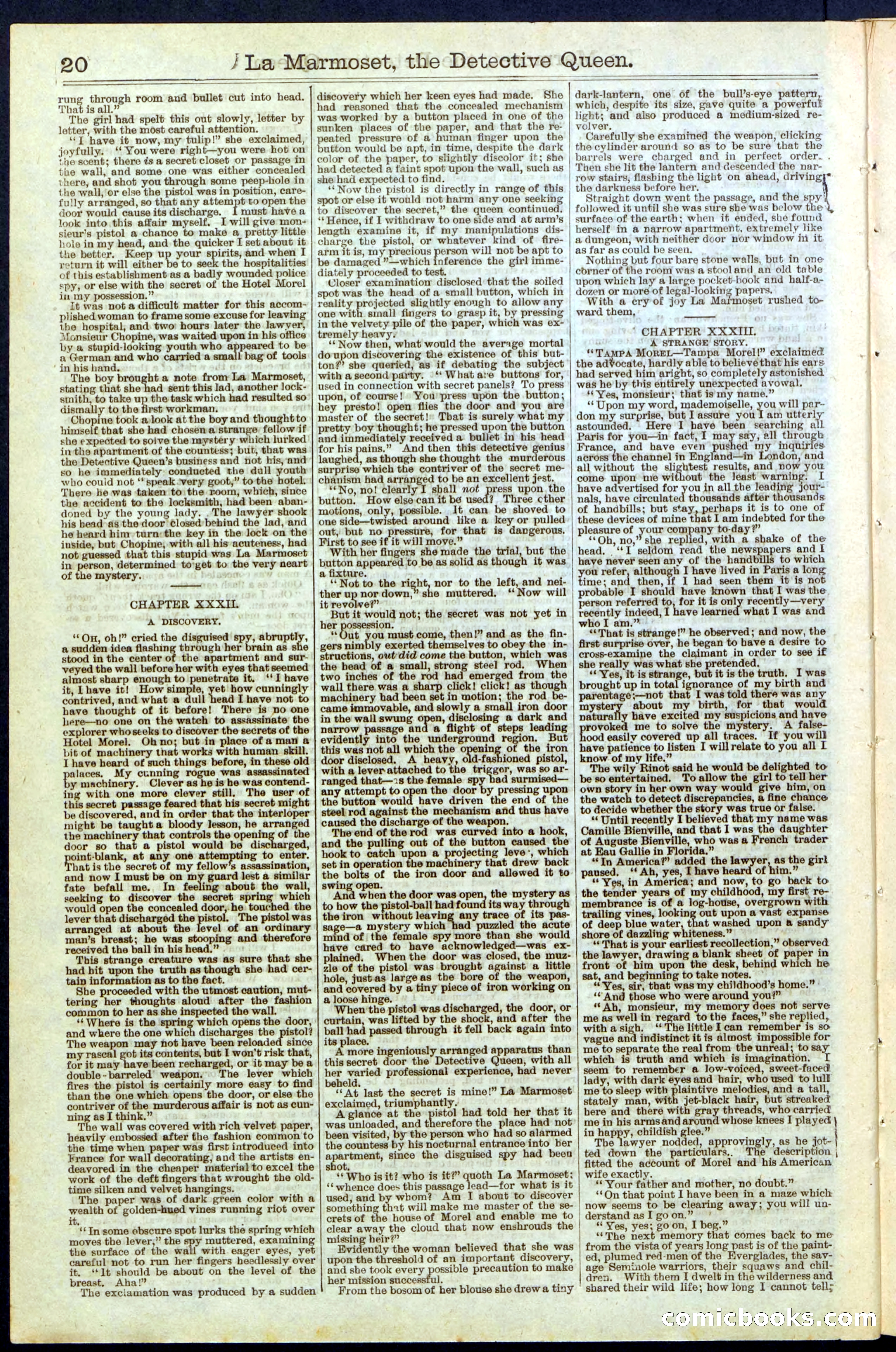 Beadle's New York Dime Library, No. 196 — page 20 of 28