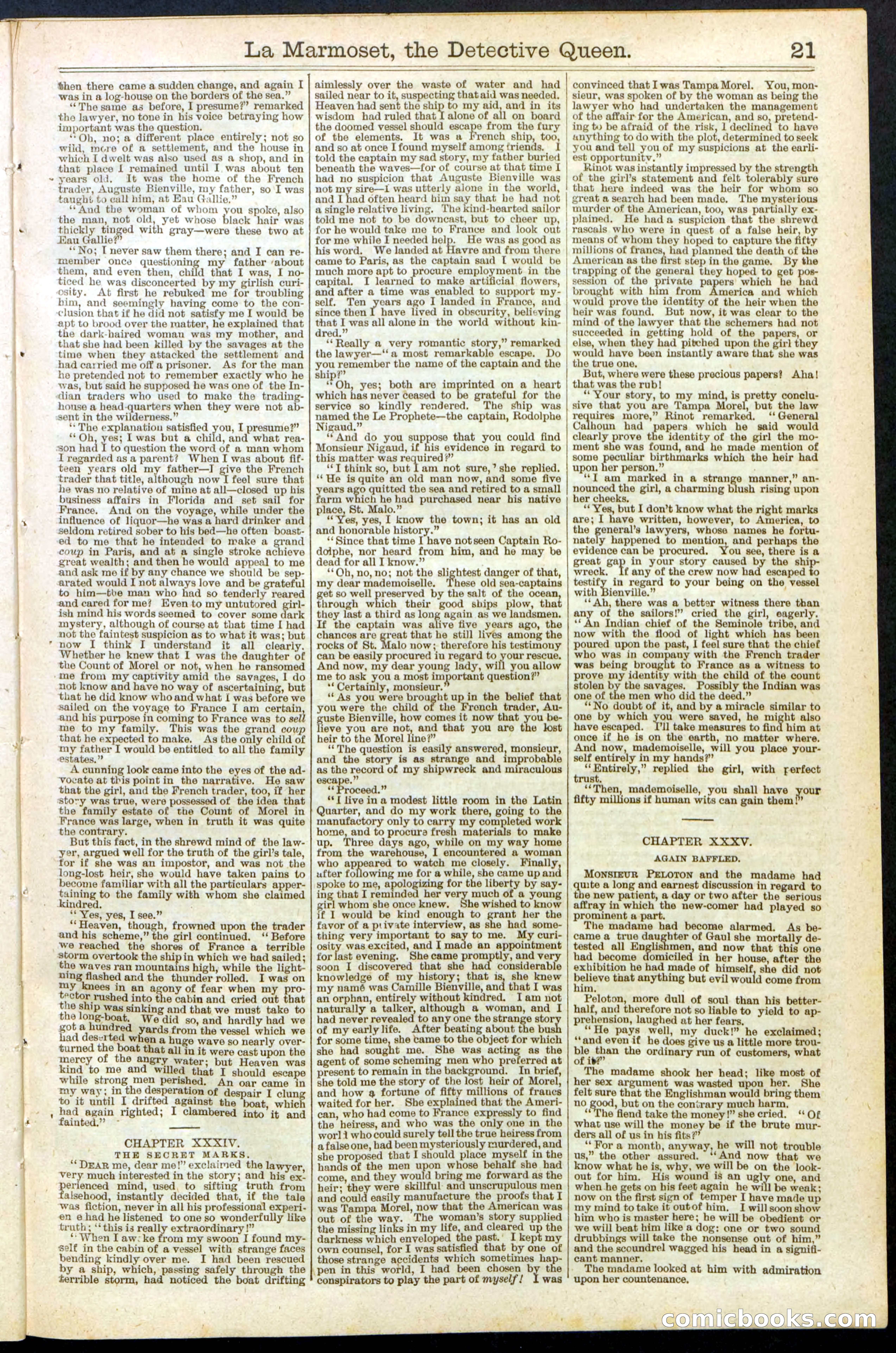 Beadle's New York Dime Library, No. 196 — page 21 of 28