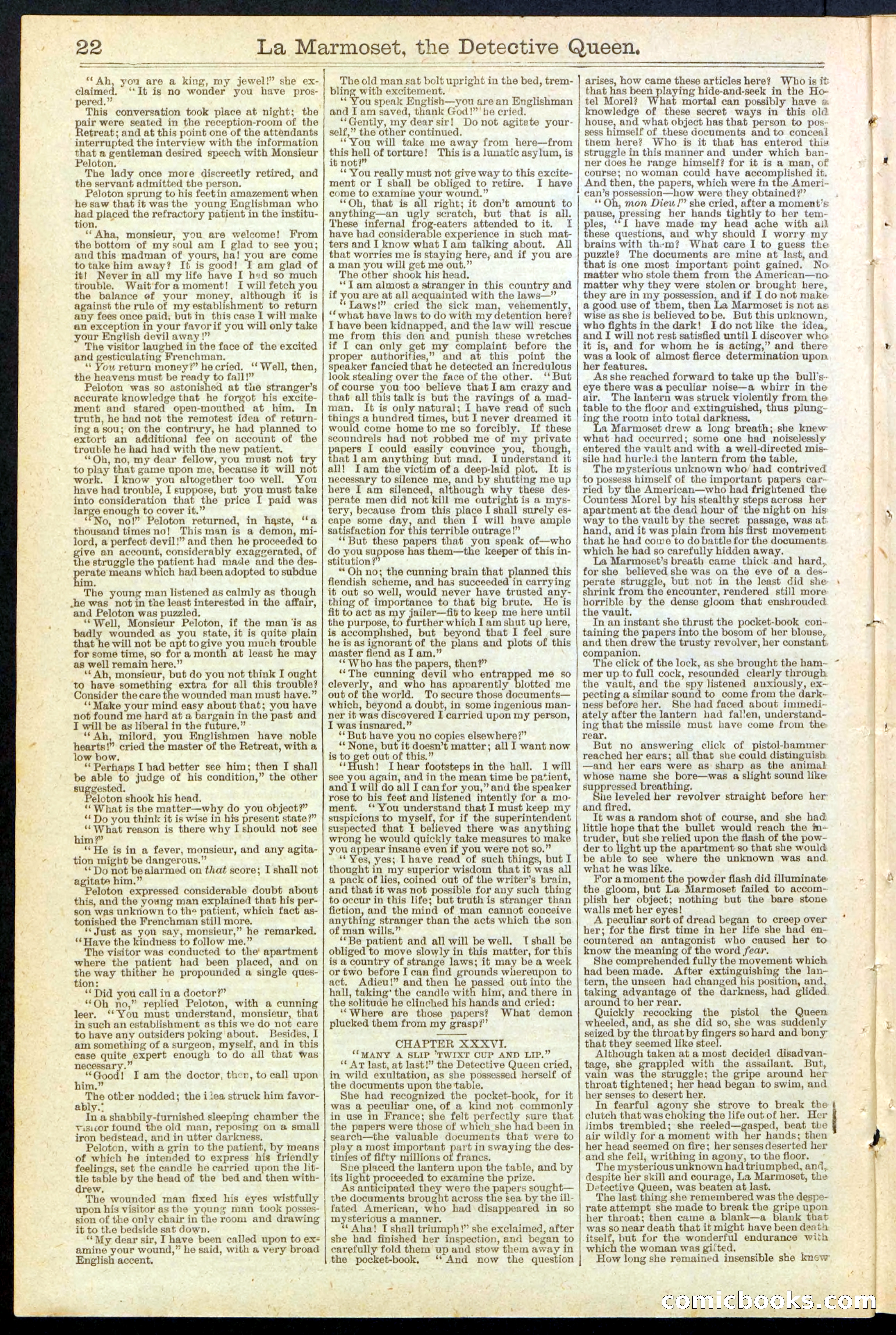 Beadle's New York Dime Library, No. 196 — page 22 of 28