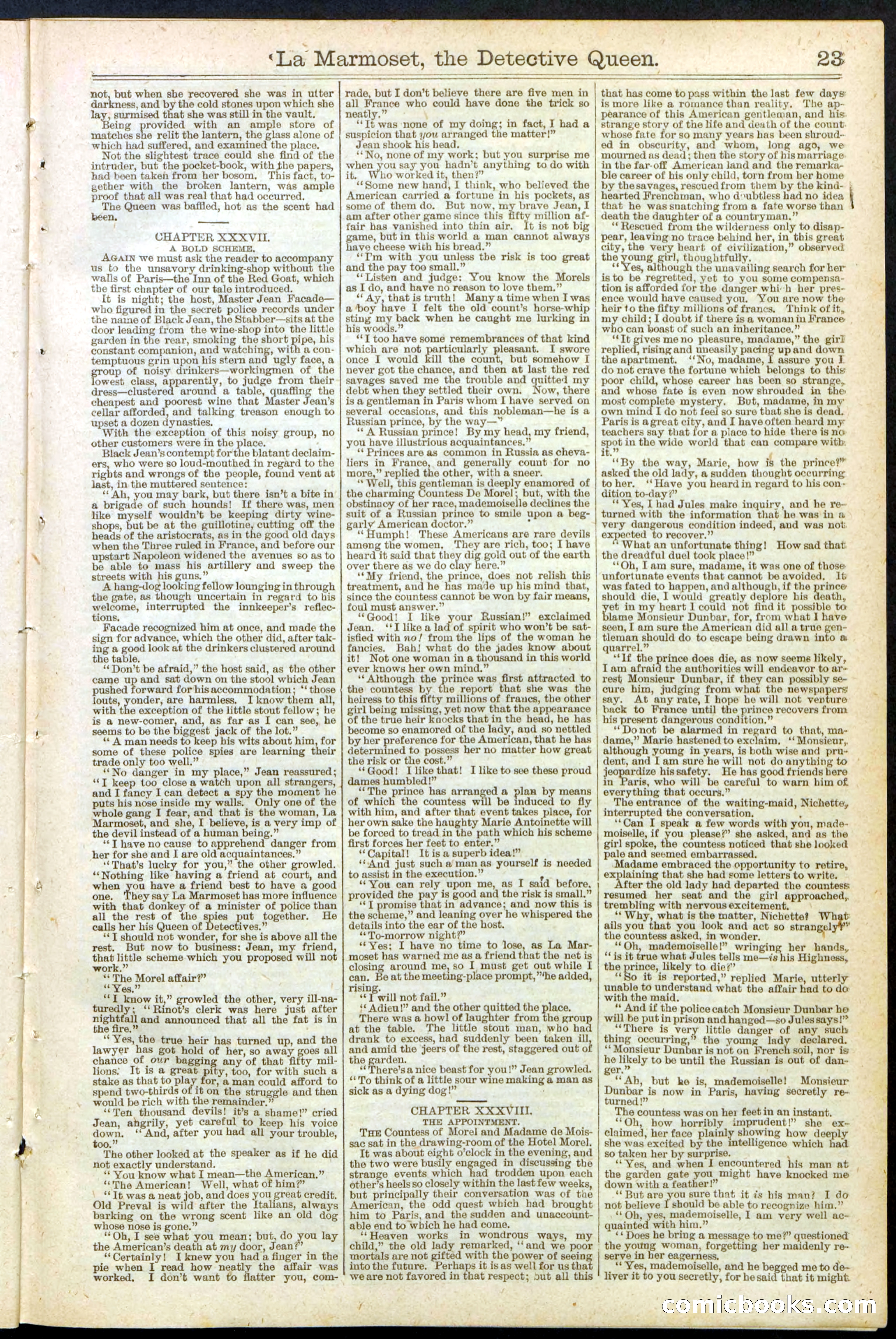 Beadle's New York Dime Library, No. 196 — page 23 of 28