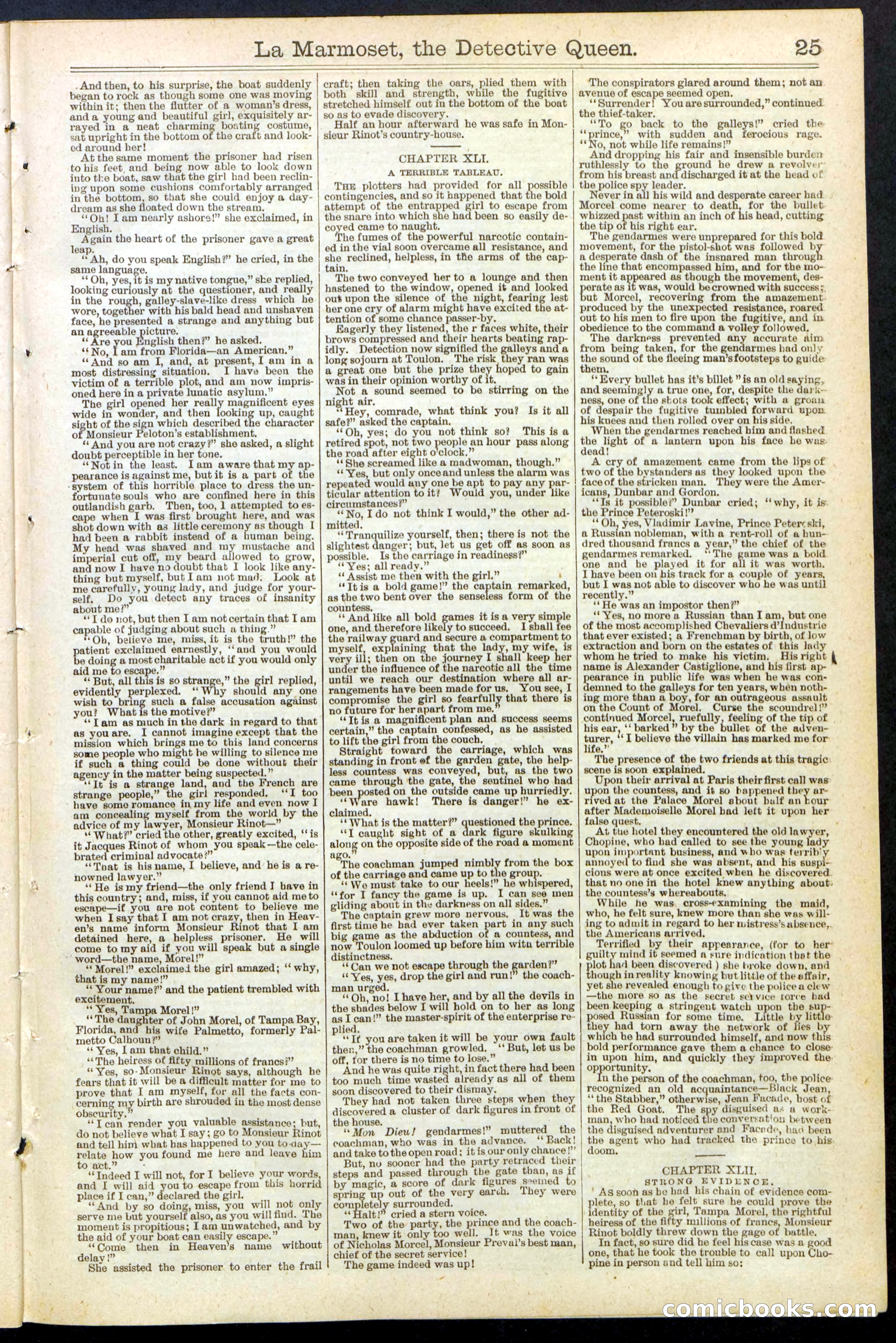 Beadle's New York Dime Library, No. 196 — page 25 of 28