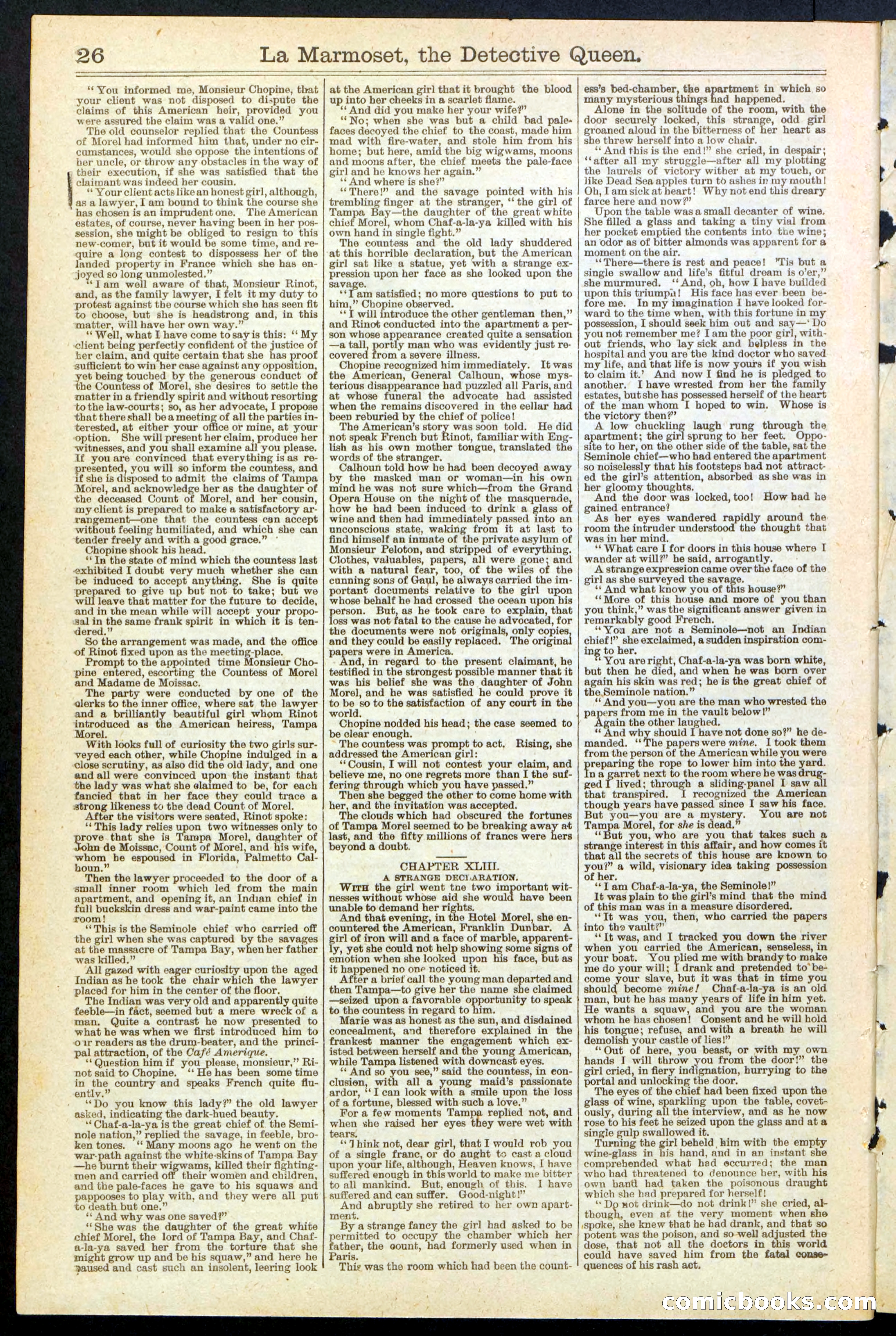 Beadle's New York Dime Library, No. 196 — page 26 of 28