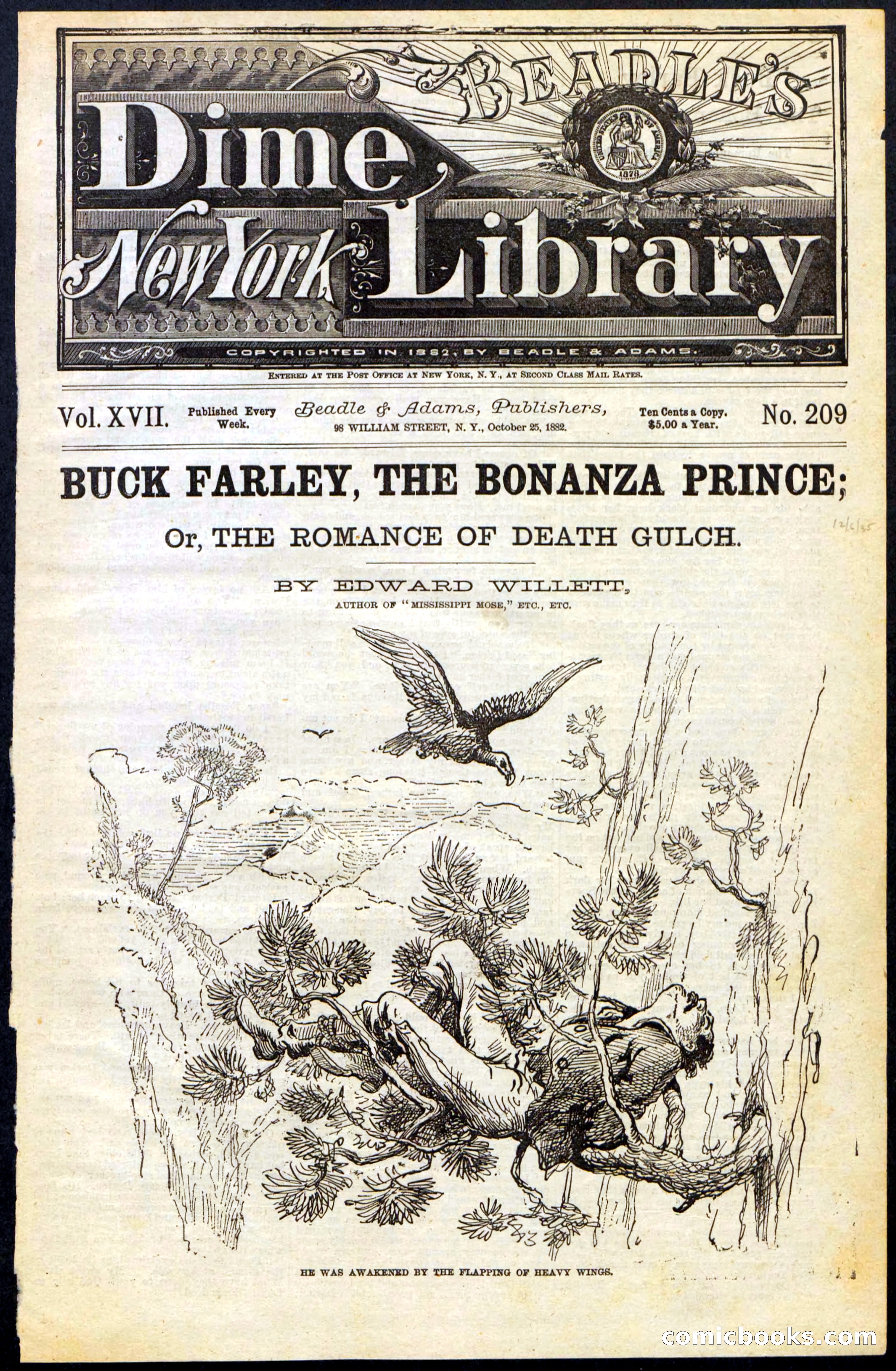 Beadle's New York Dime Library No. 209 — page 1 of 24