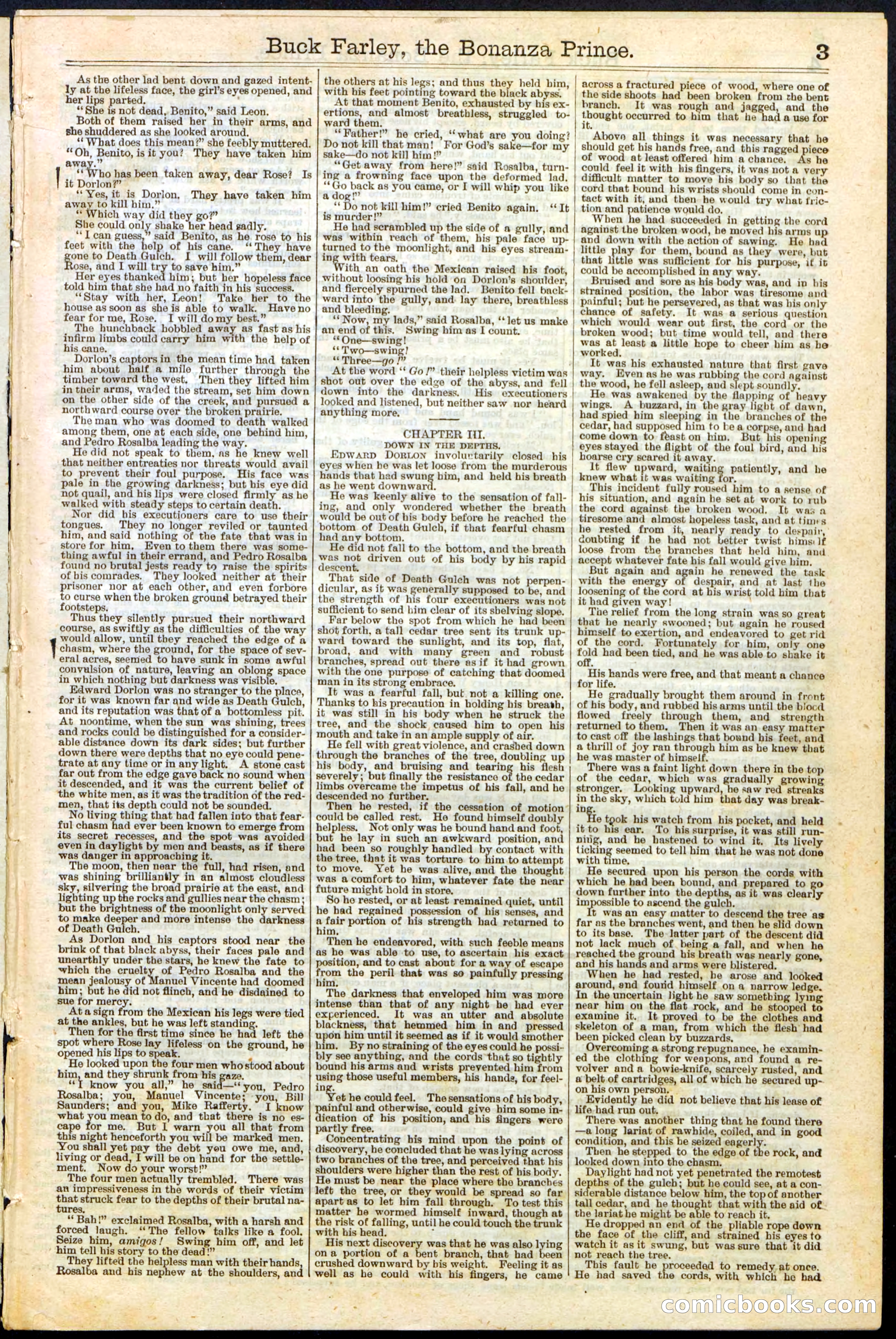 Beadle's New York Dime Library No. 209 — page 3 of 24